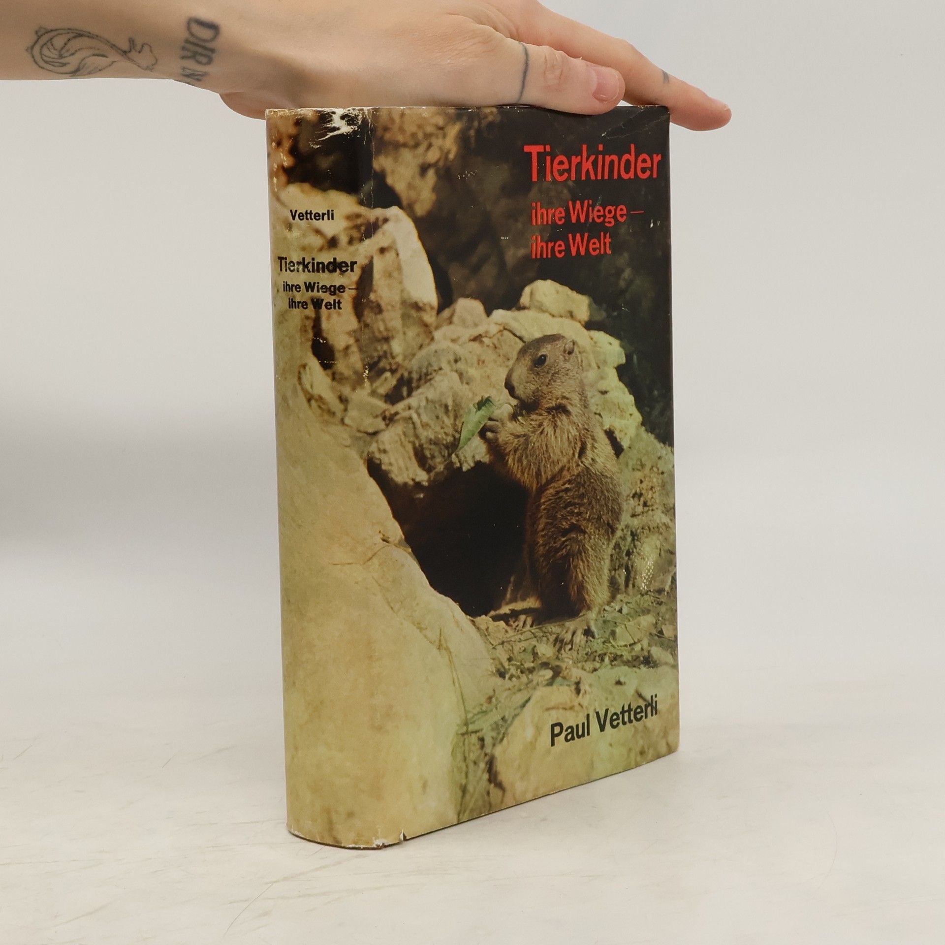 AA.VV. Tierkinder ihre Wiege ihre Welt