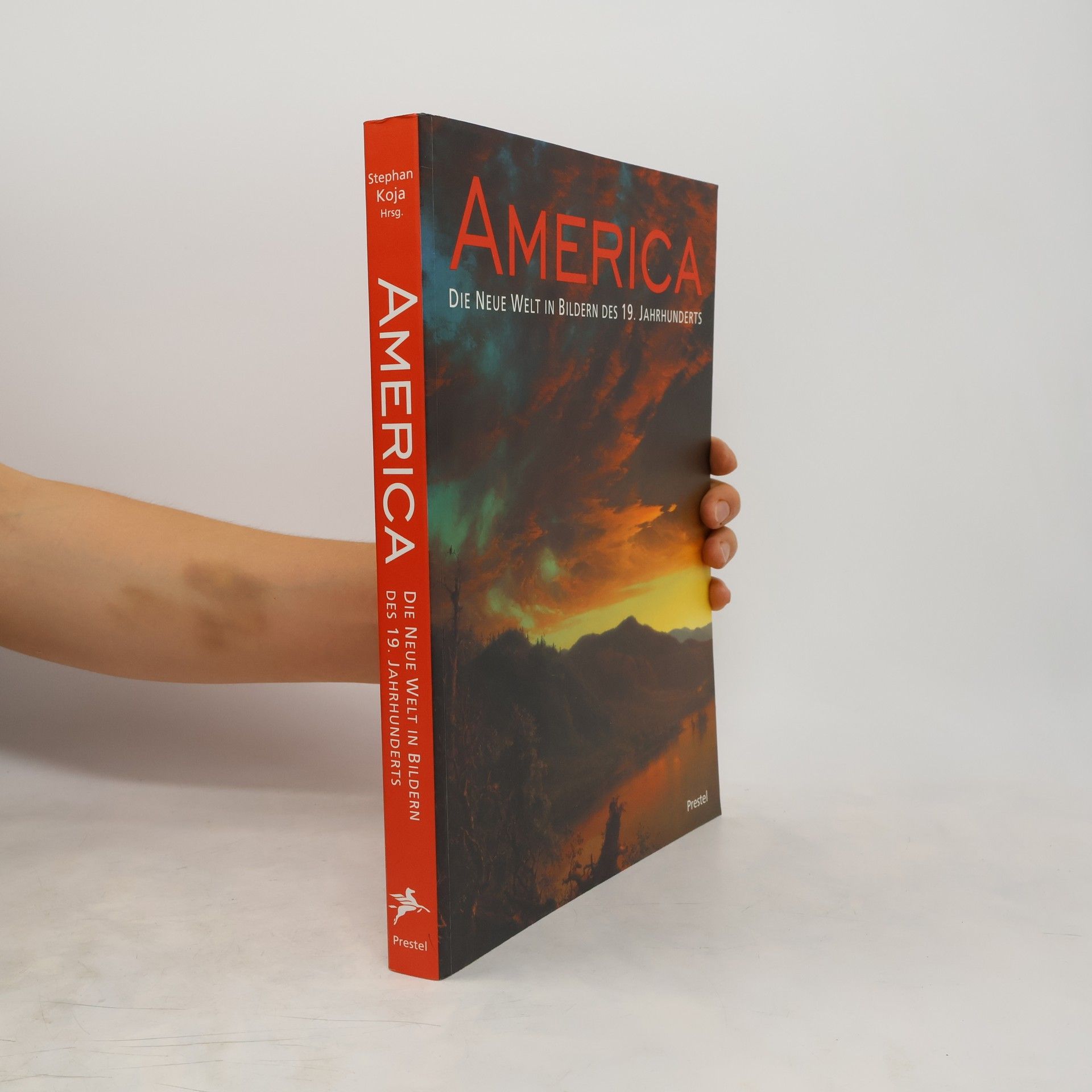 Stephan Koja America