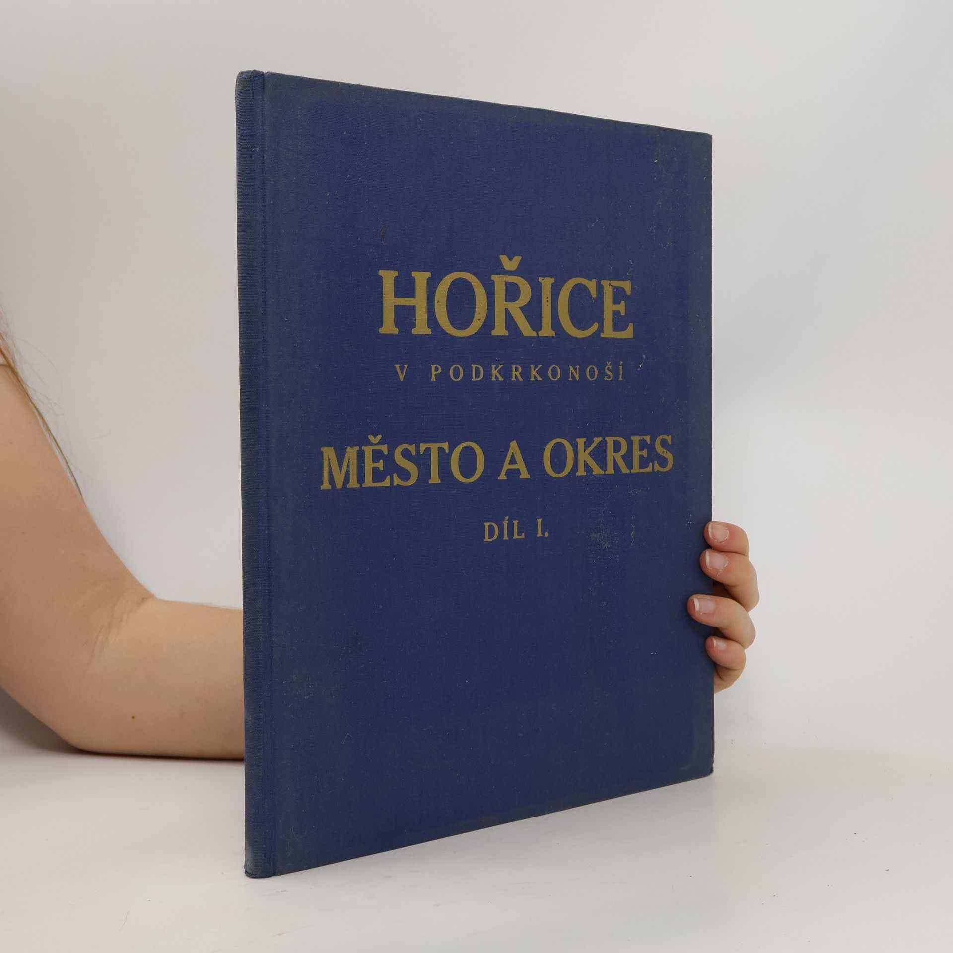 Kolektiv autorů Hořice v Podkrkonoší