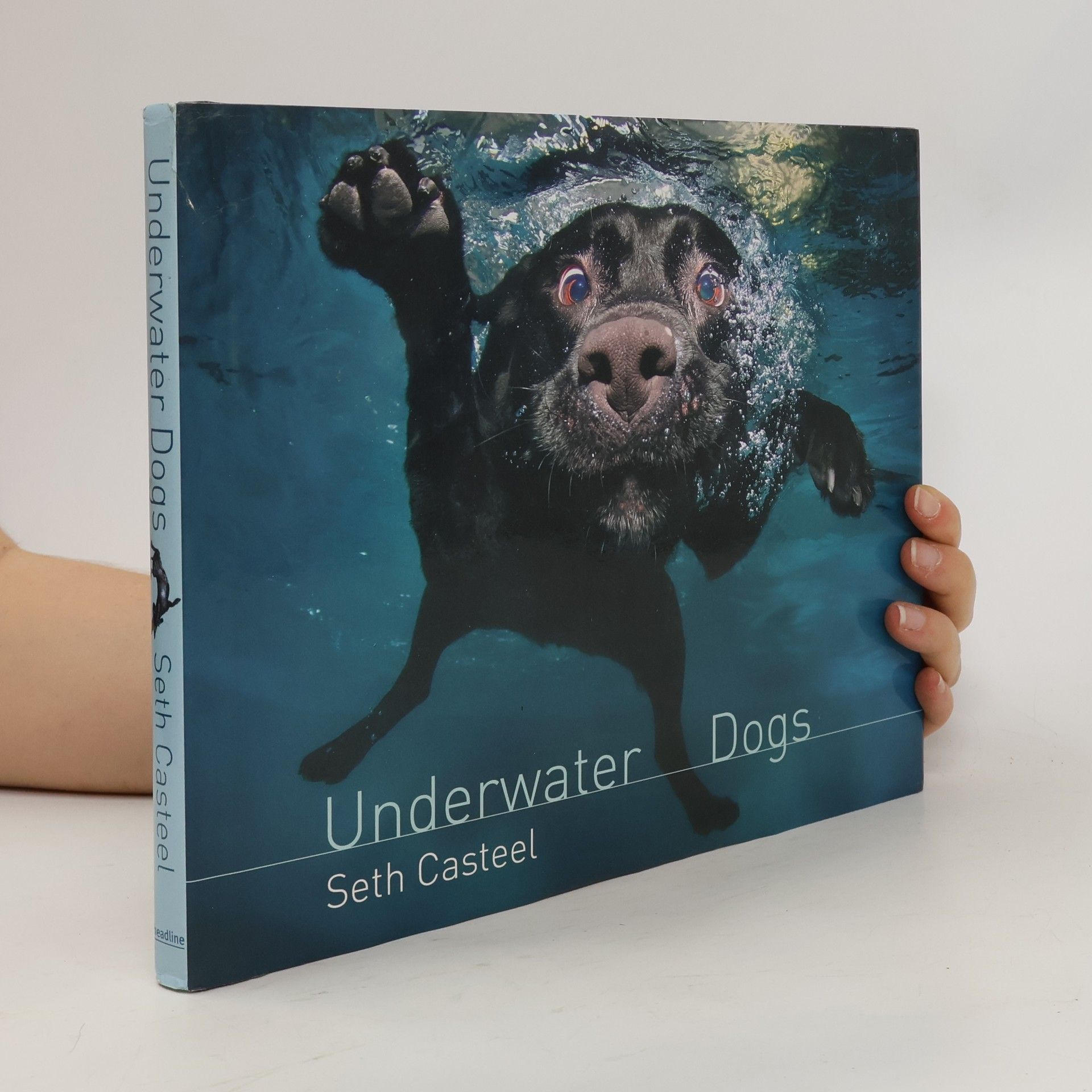 Seth Casteel Underwater dogs