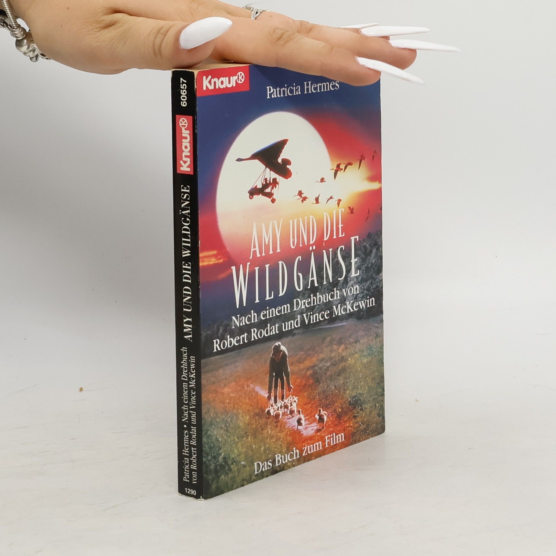 Patricia Hermes Amy und die Wildgänse