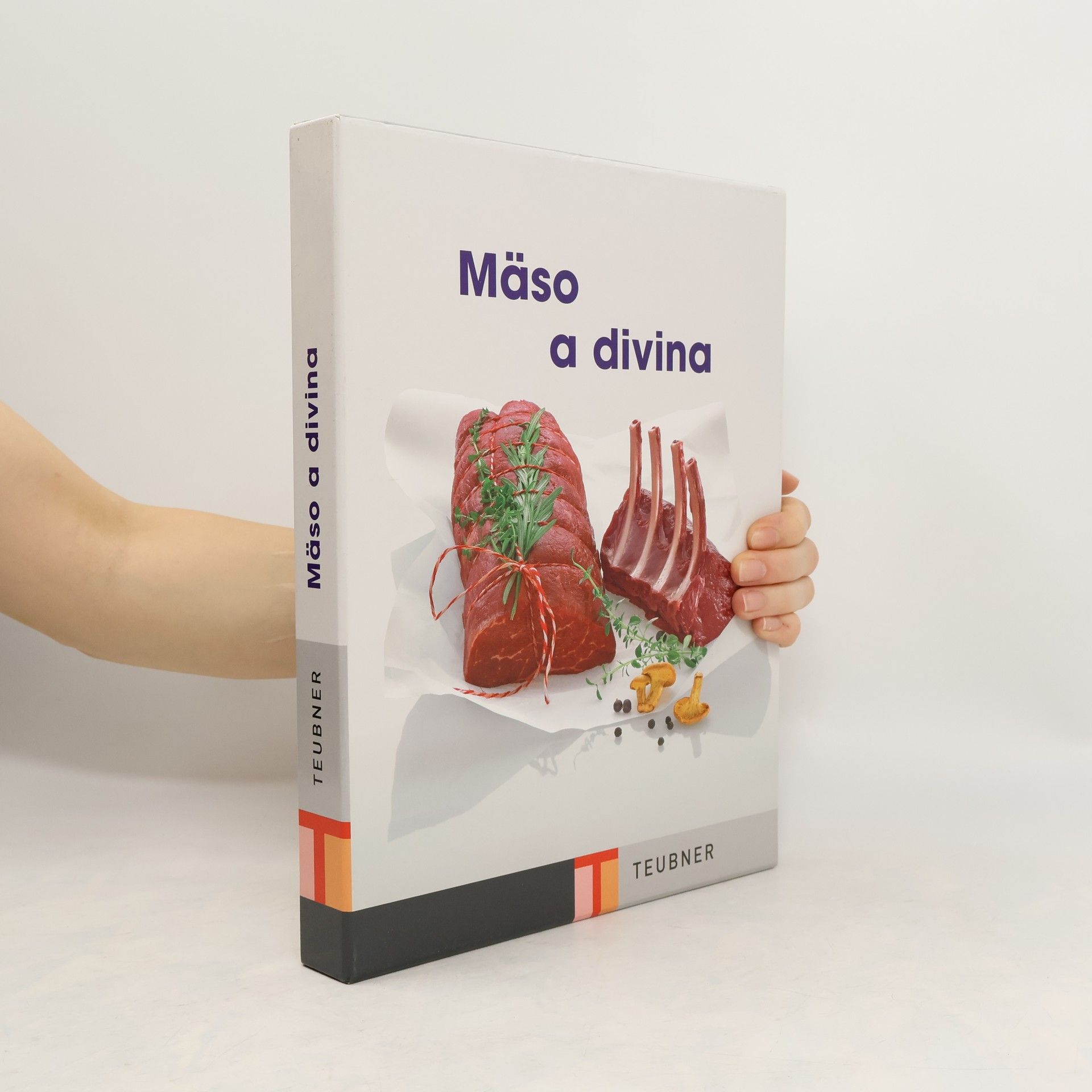 kolektiv Mäso a divina