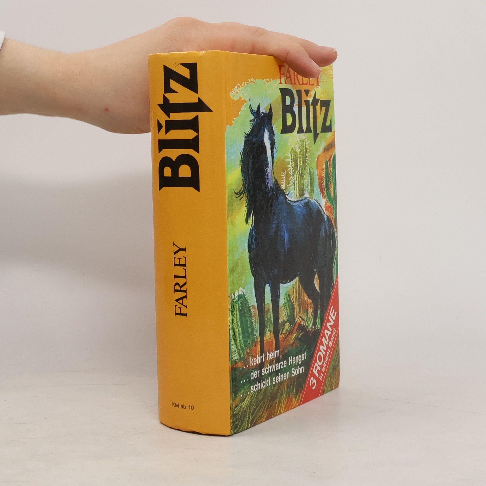 Walter Farley Blitz. 3 Romane in einem Band