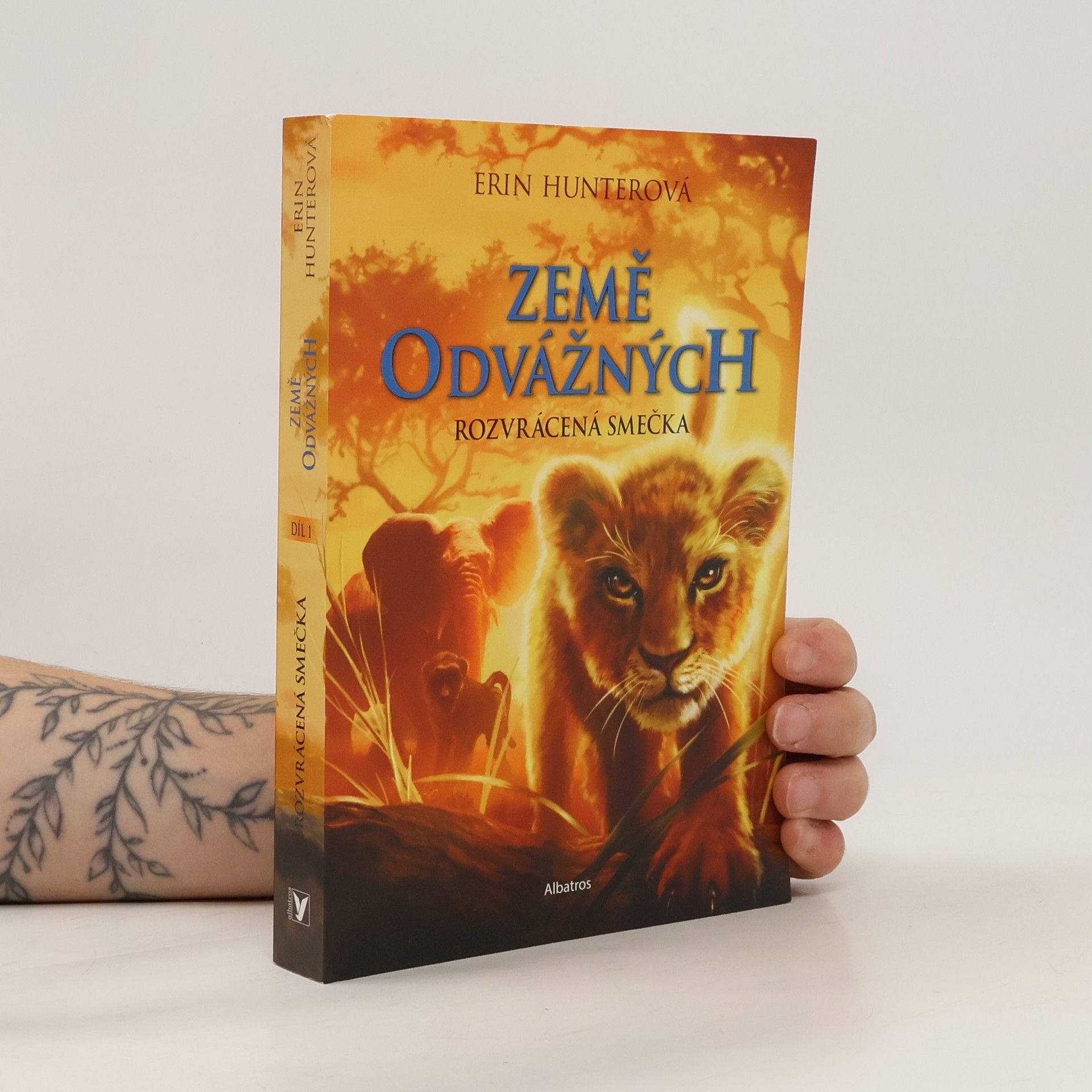 Erin Hunter Rozvrácená smečka