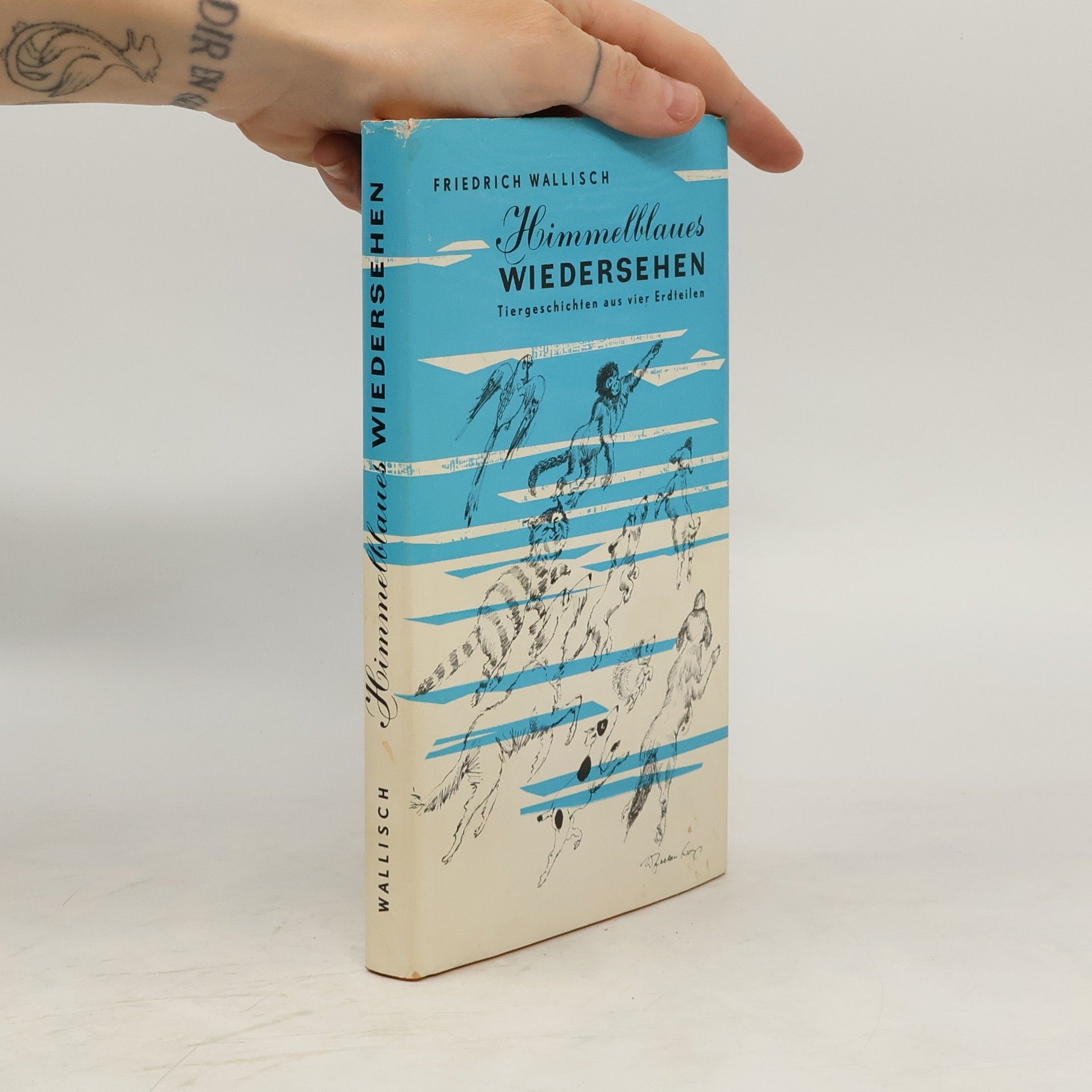 Friedrich Wallisch Himmelblaues Wiedersehen