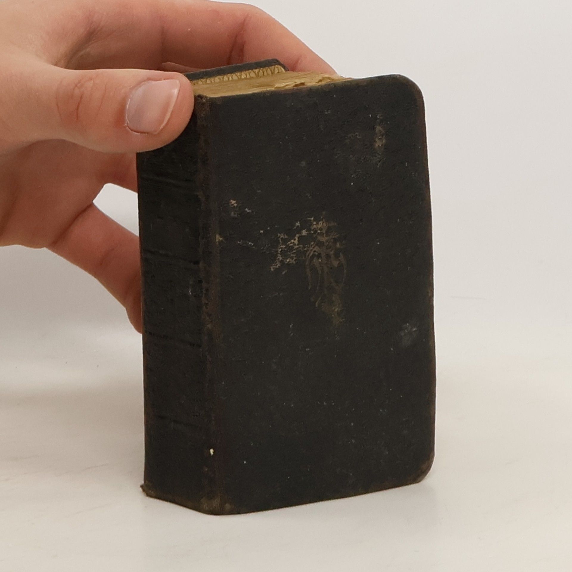 Collectif d'auteurs Alles für Jesus