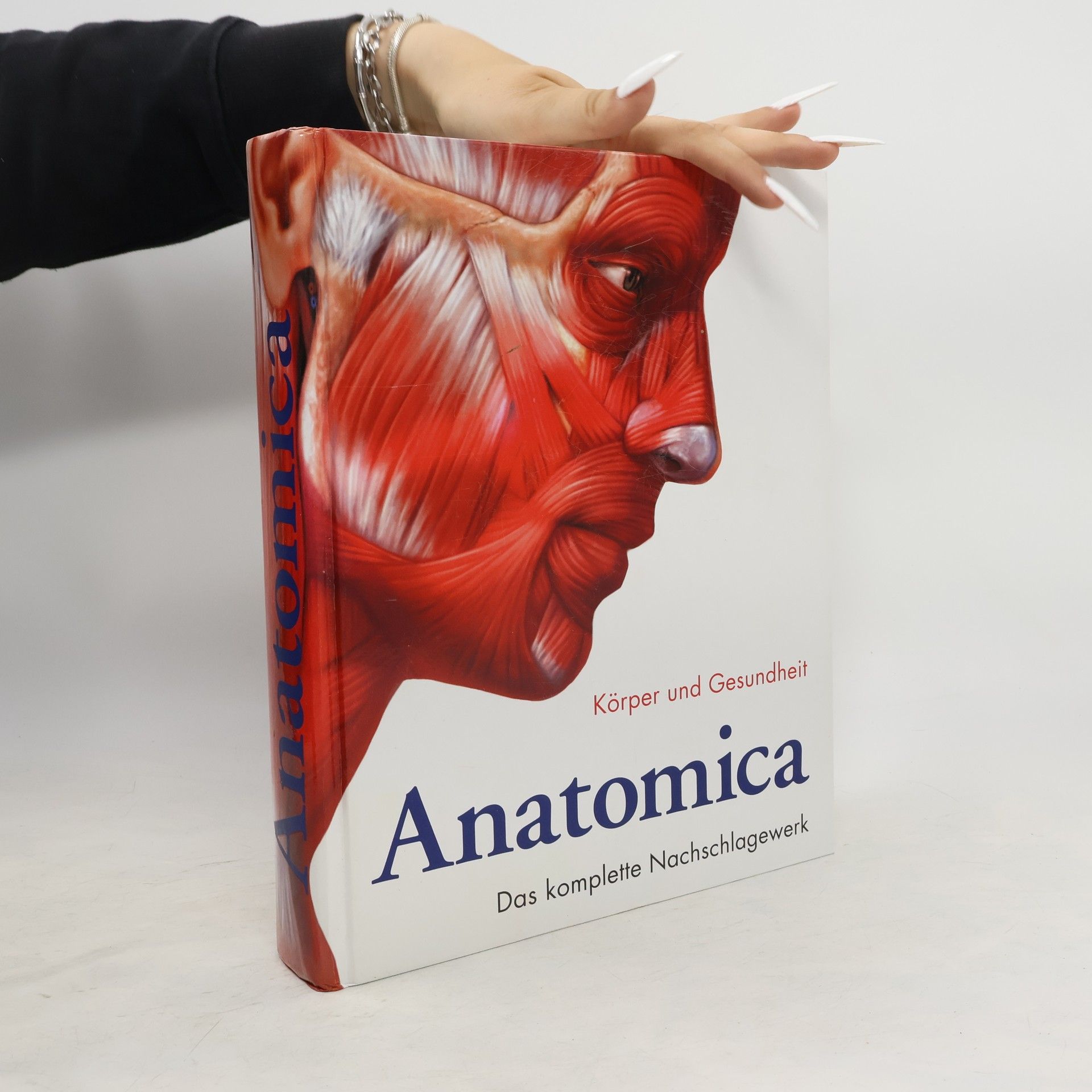 Gordon Cheers Anatomica