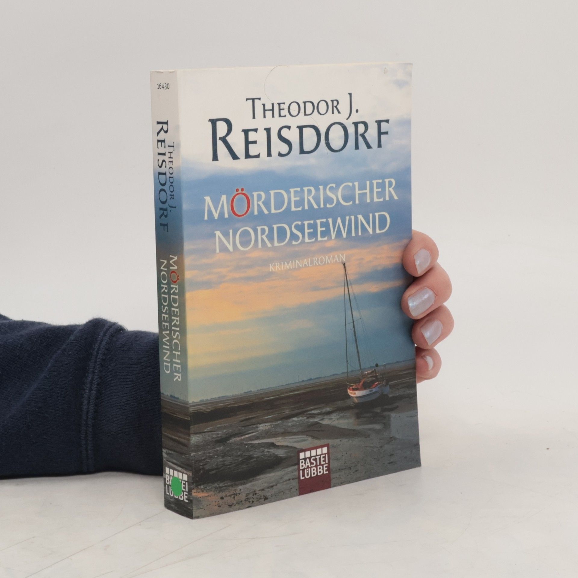 Theodor J. Reisdorf Mörderischer Nordseewind