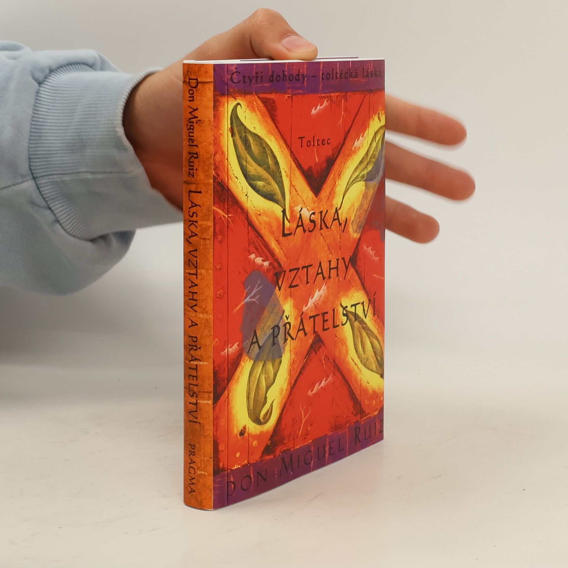 Don Miguel Ruiz Láska, vztahy a přátelství