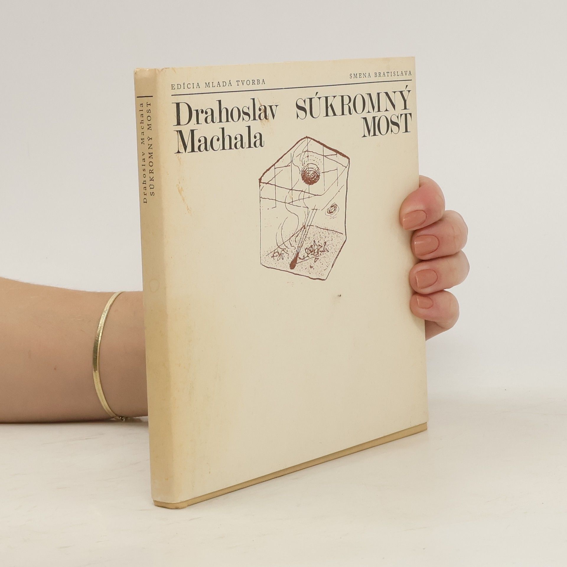 Drahoslav Machala Súkromný most