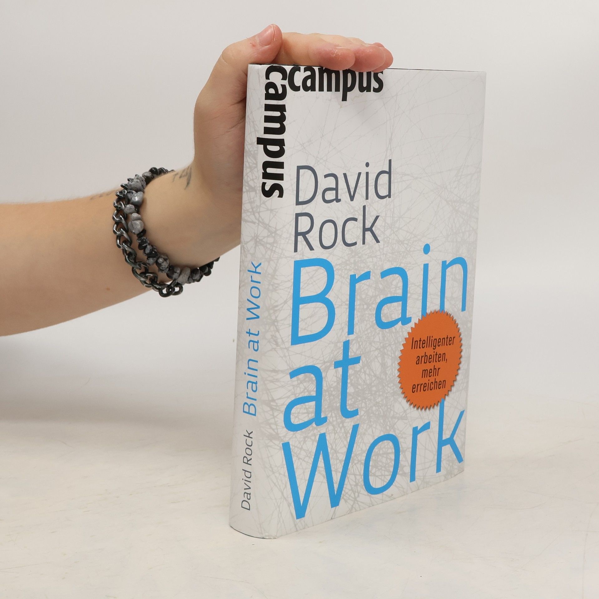 David Rock Brain at Work