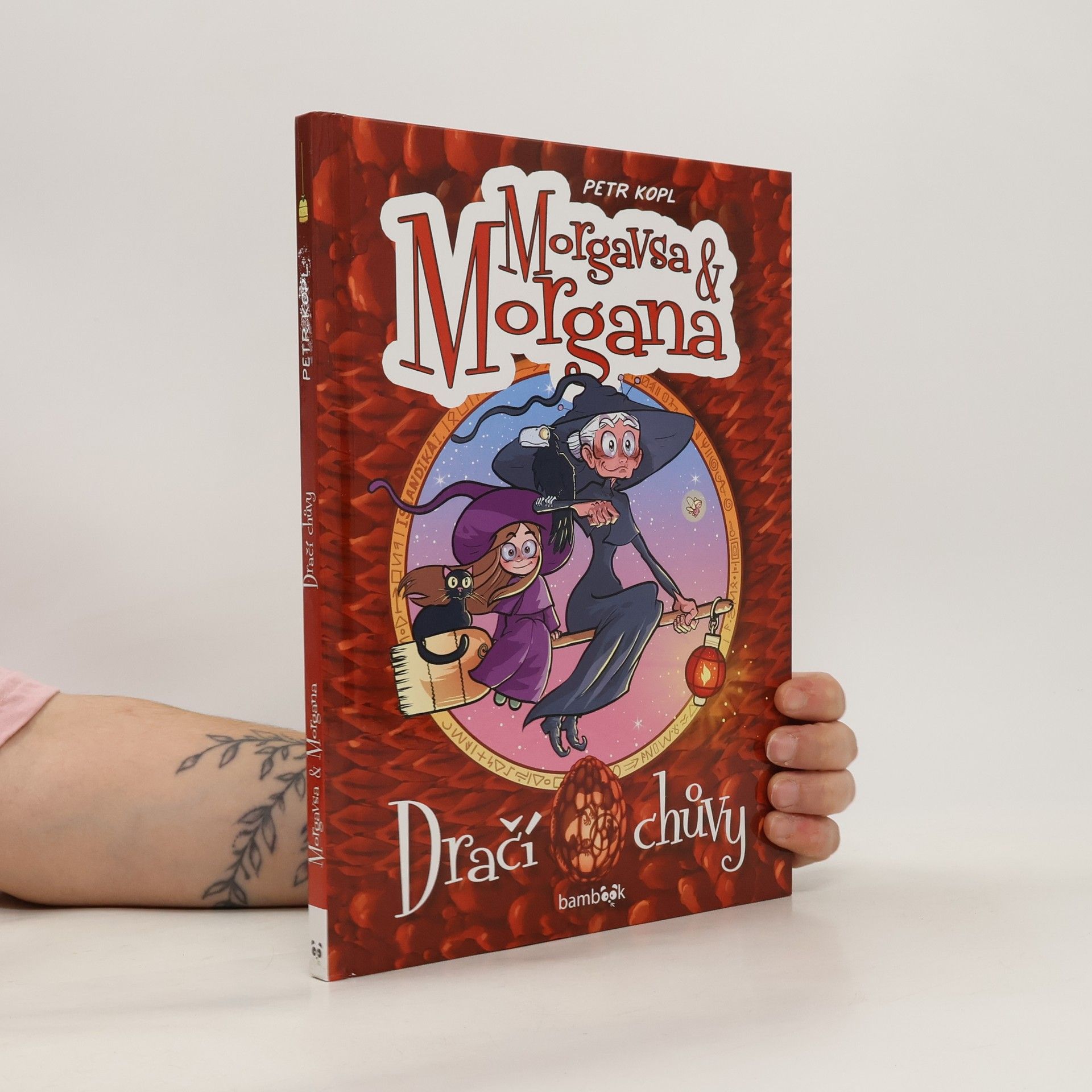 Petr Kopl Morgavsa a Morgana - Dračí chůvy