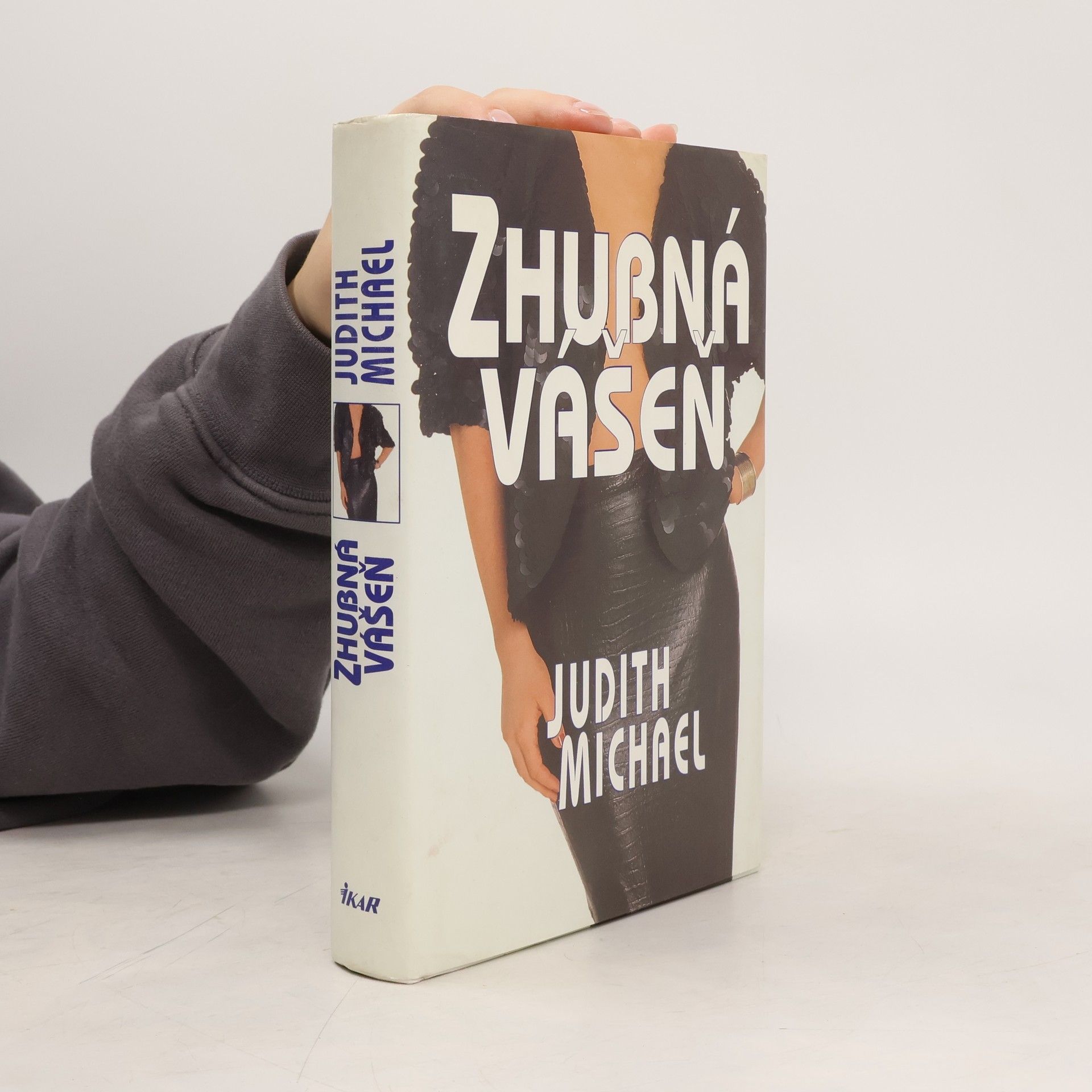 Judith Michael Zhubná vášeň
