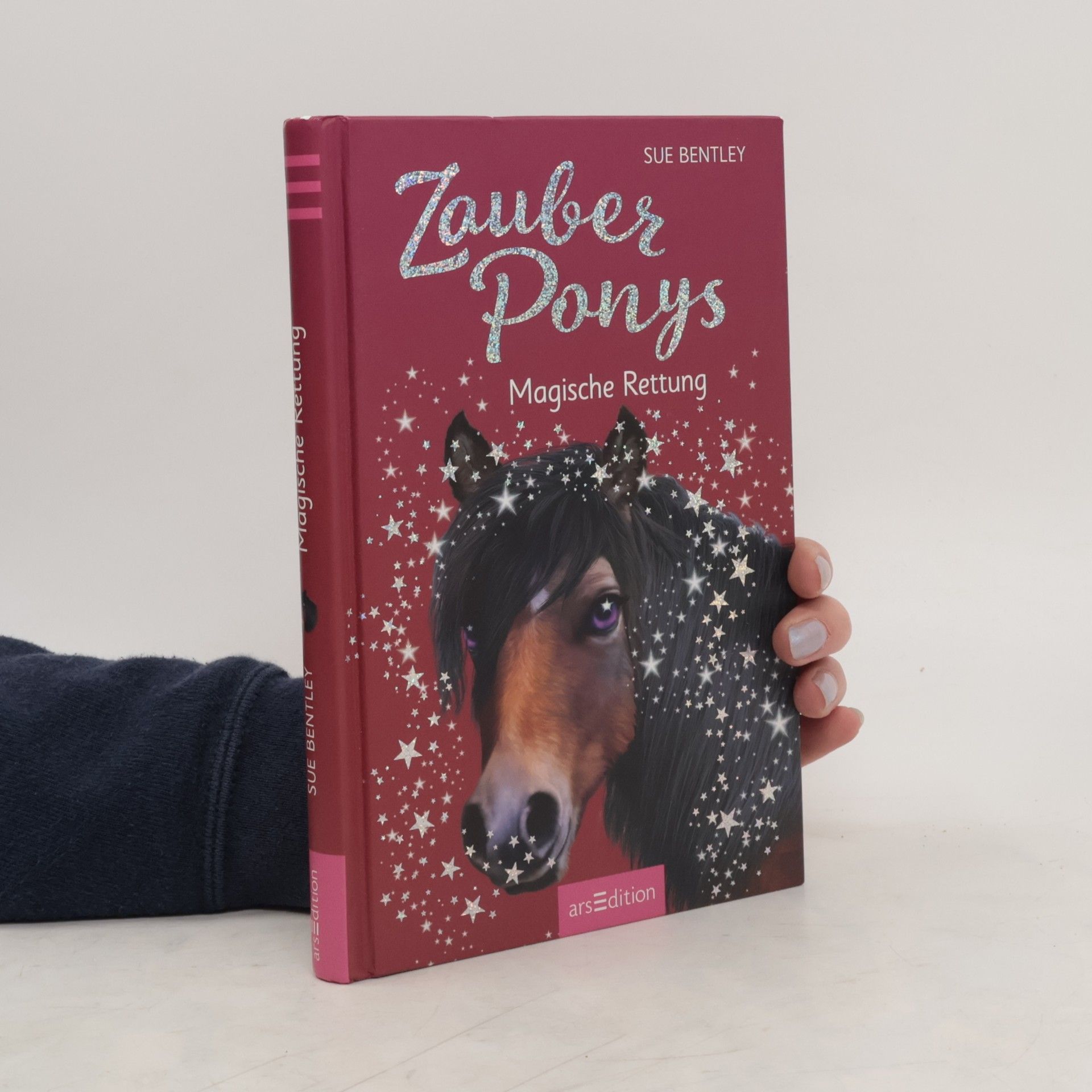 Sue Bentley Zauberponys - magische Rettung