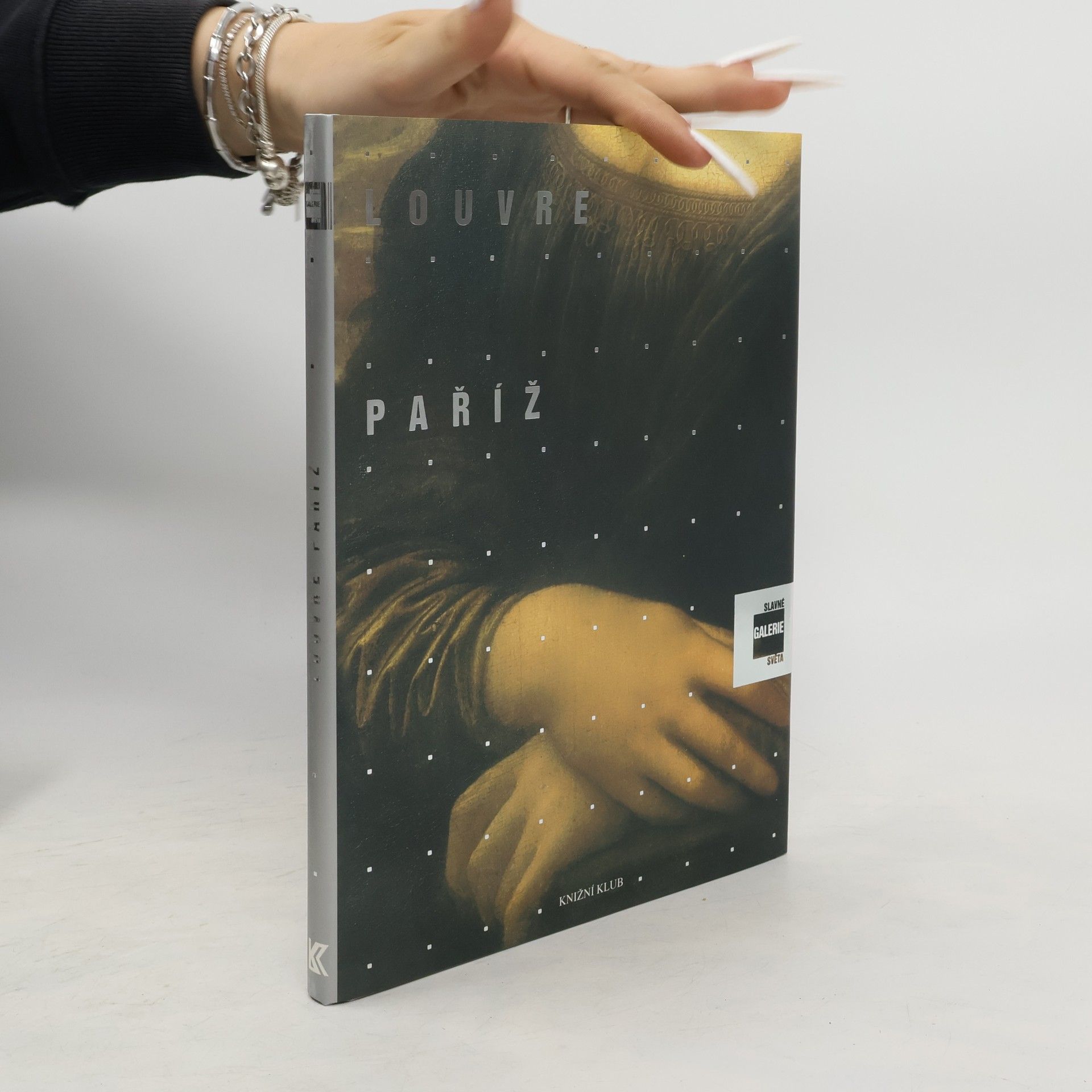 Alessandra Fregolent Slavné galerie světa. Louvre - Paříž