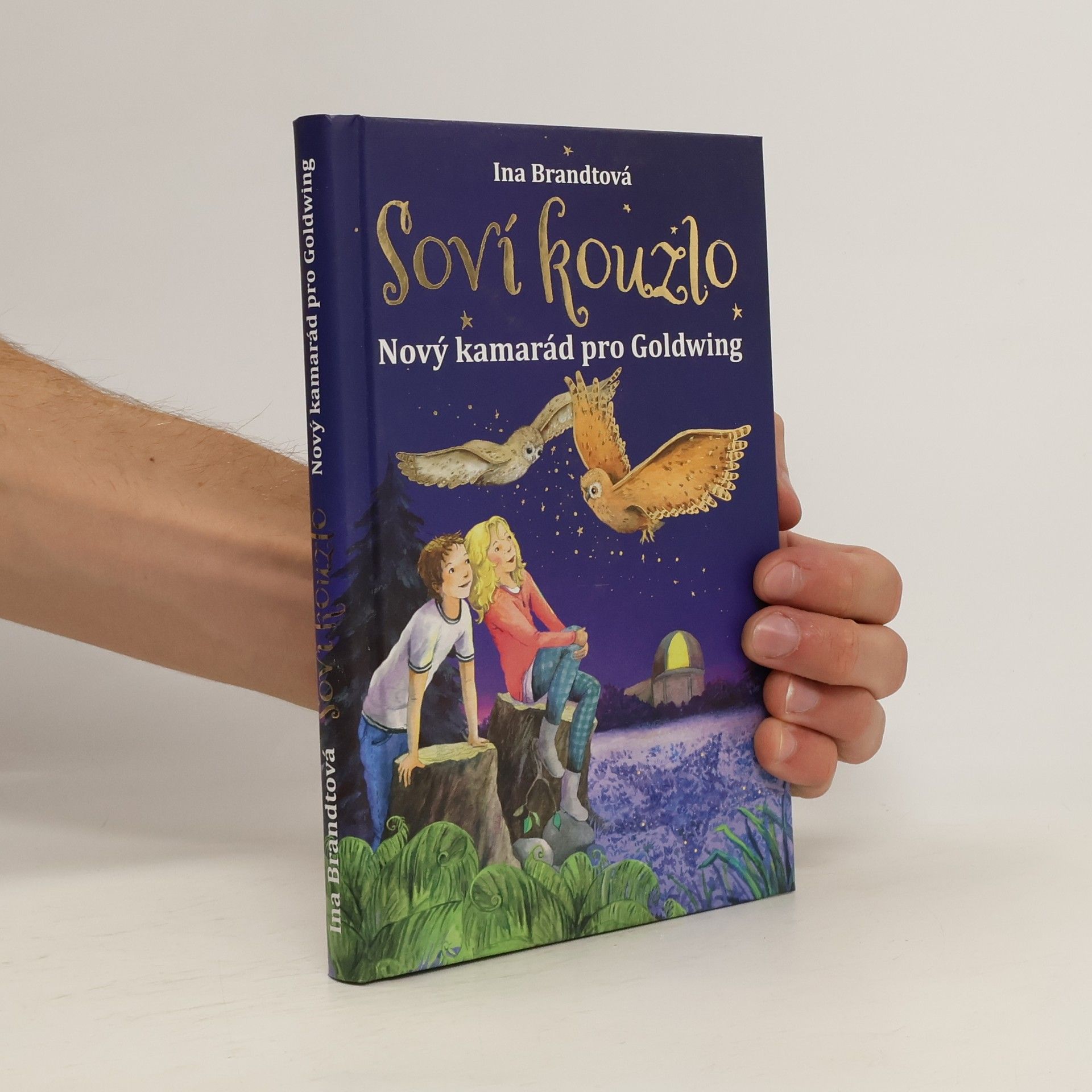 Soví kouzlo. Nový kamarád pro Goldwing