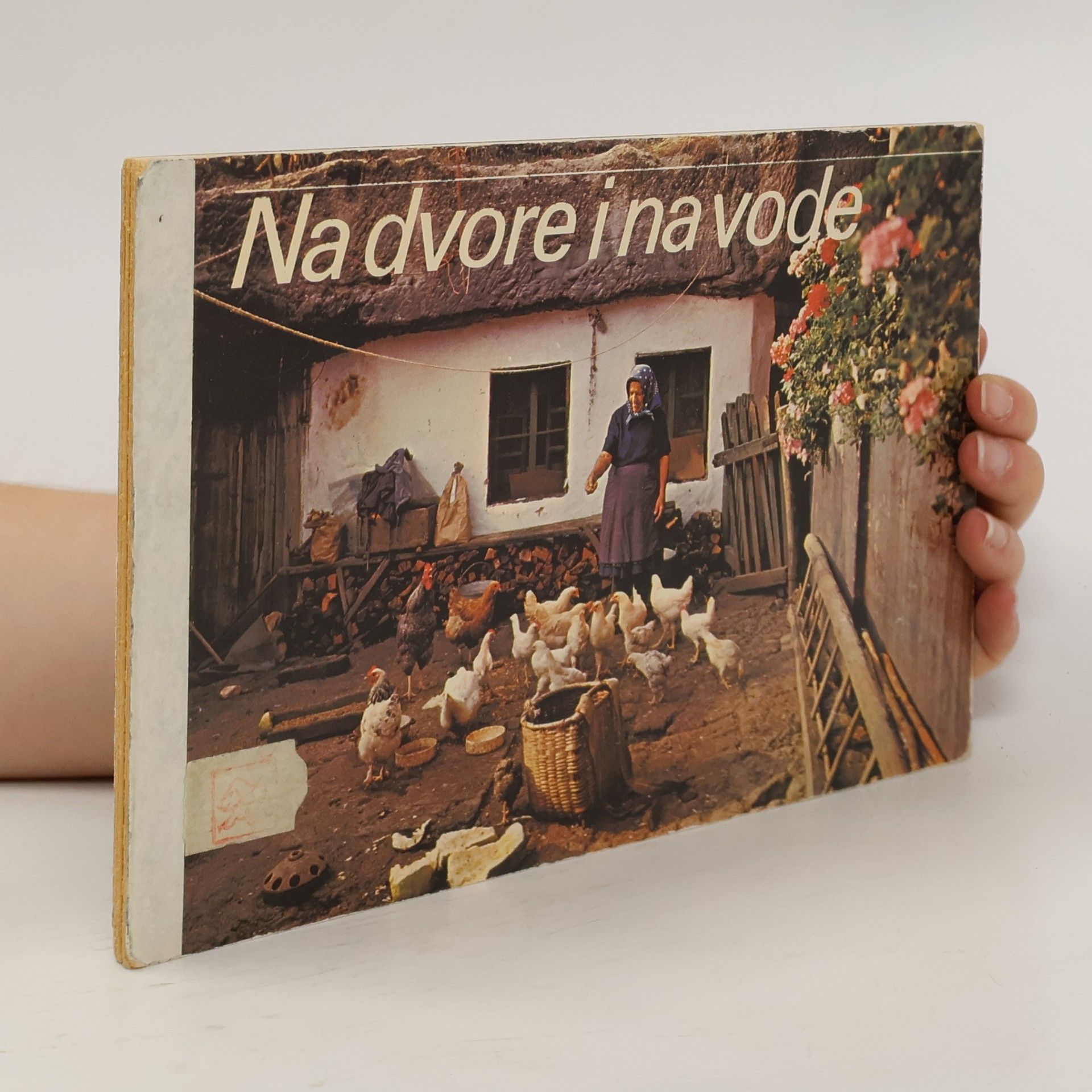 Julius Kontár Na dvore i na vode