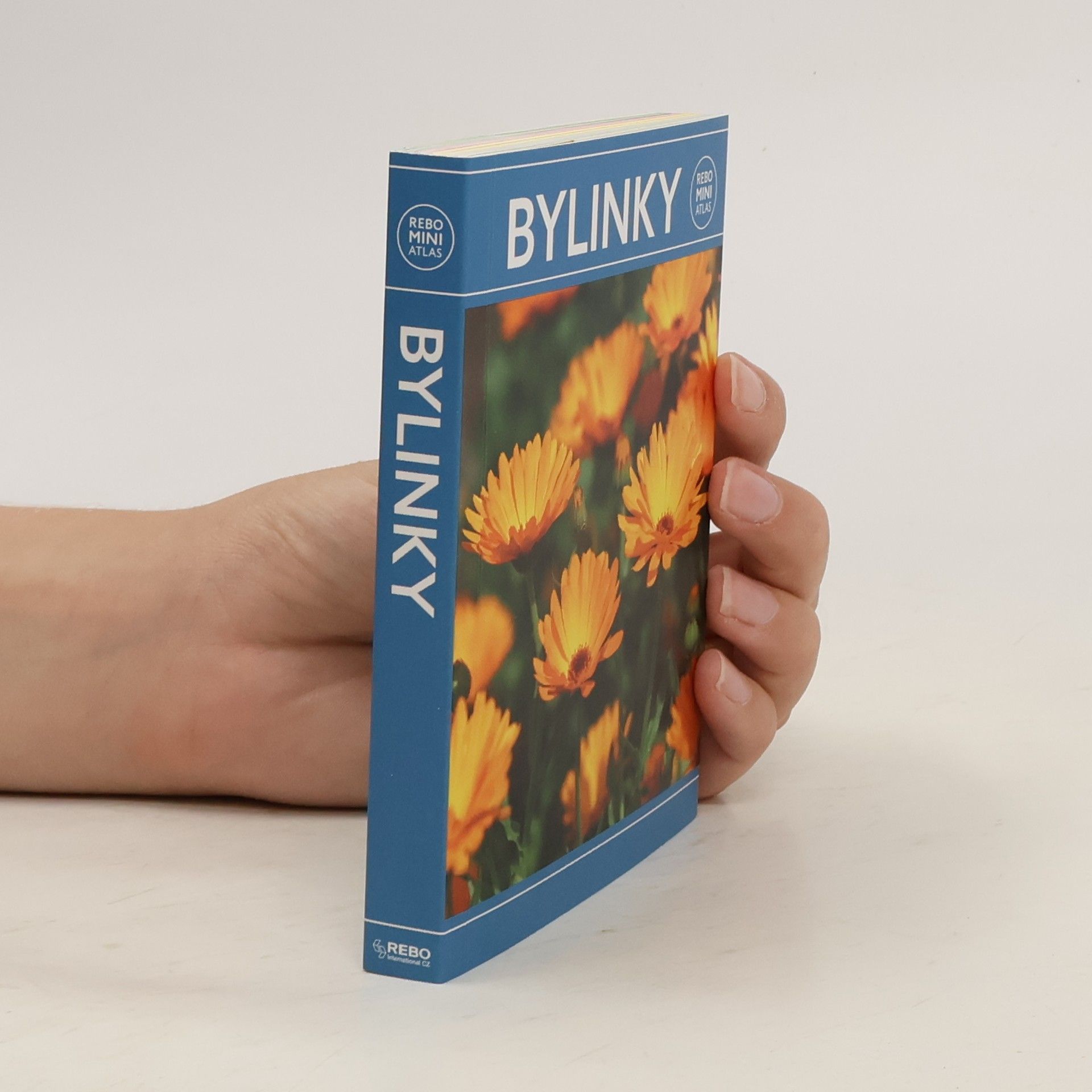 Hanneke van Dijk Bylinky