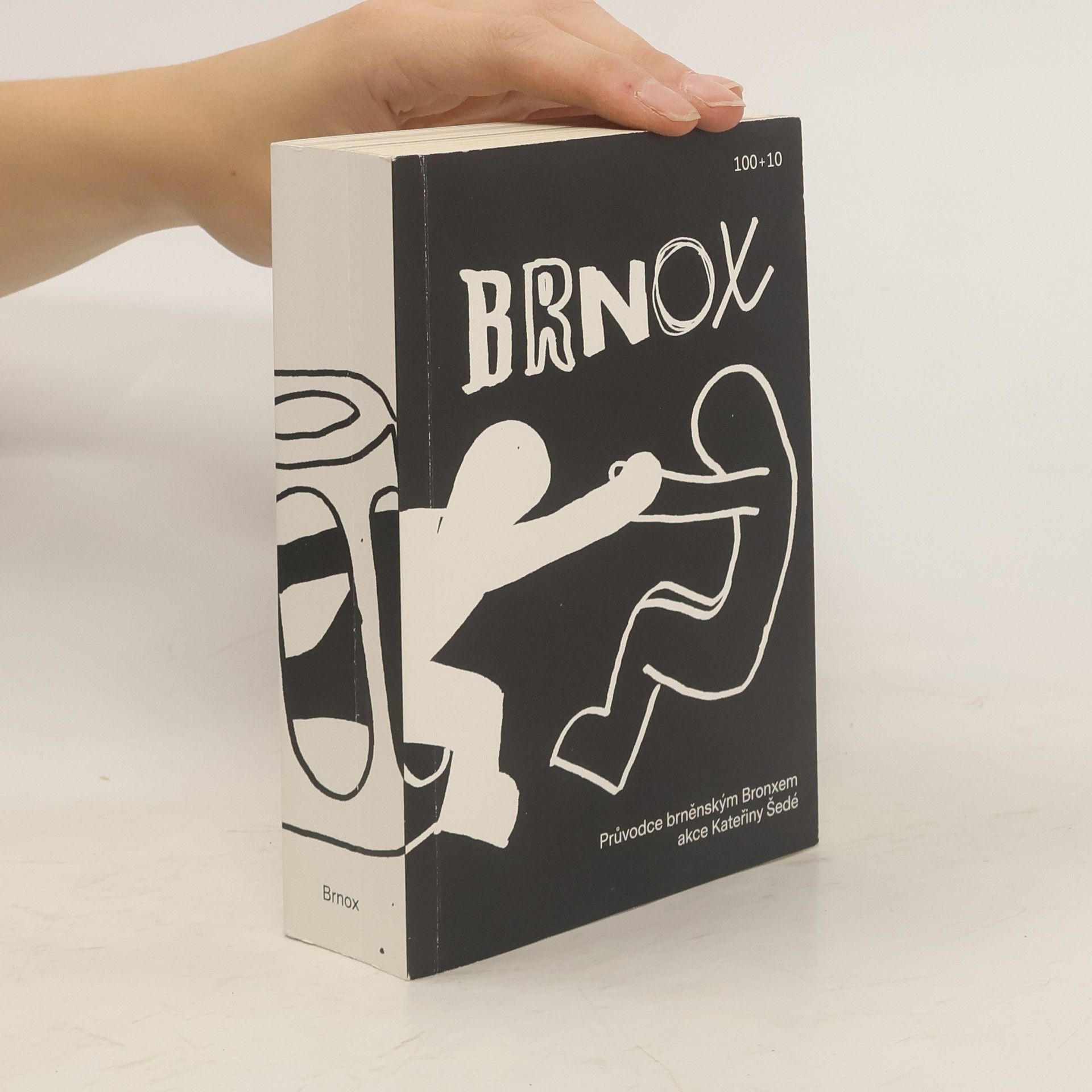 Aleš Palán Brnox. Průvodce brněnským Bronxem