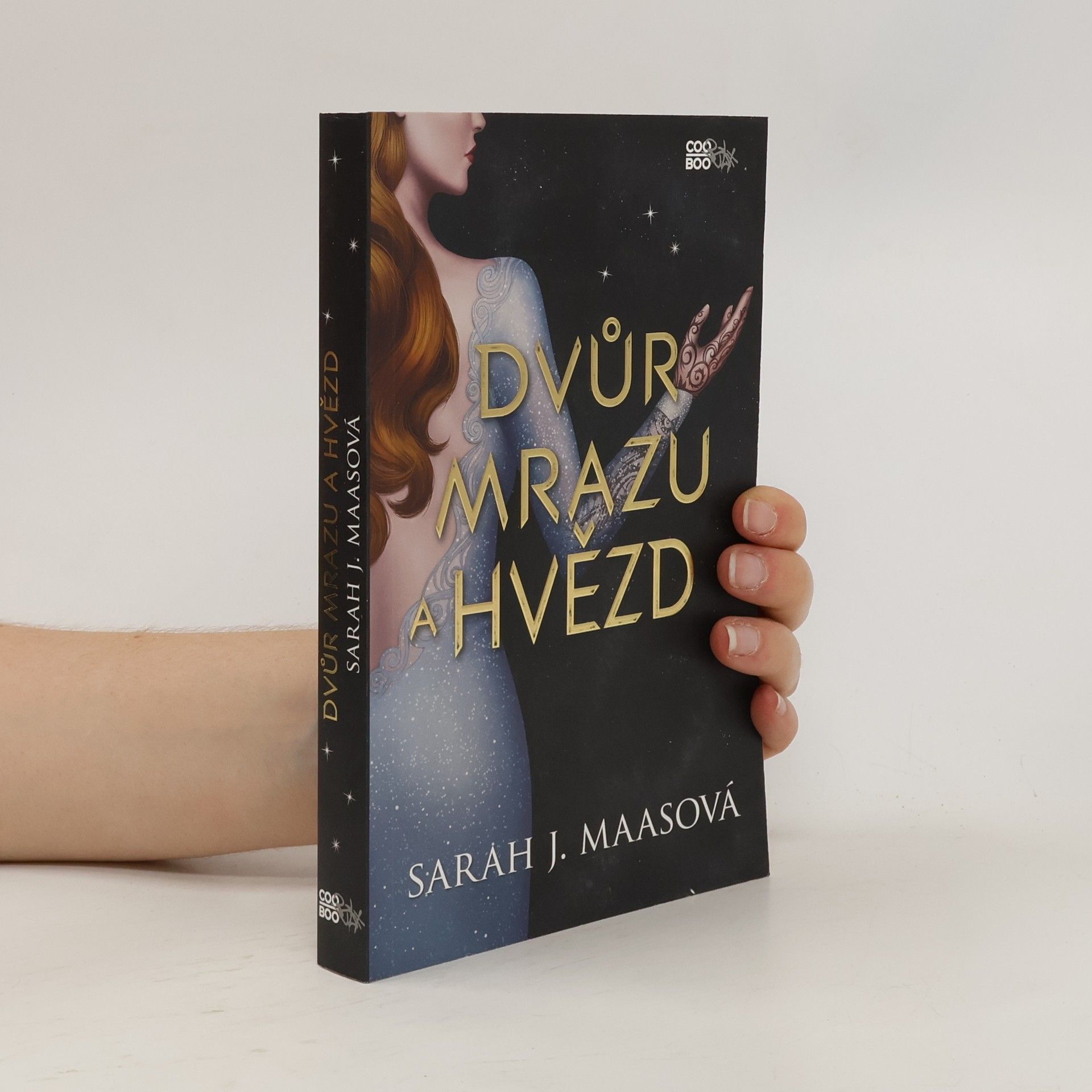 Sarah J. Maas Dvůr mrazu a hvězd