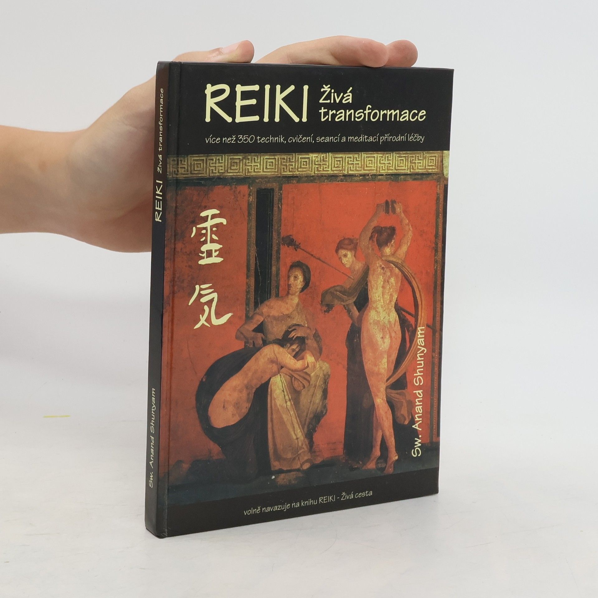 Anand Shunyam Reiki - živá transformace