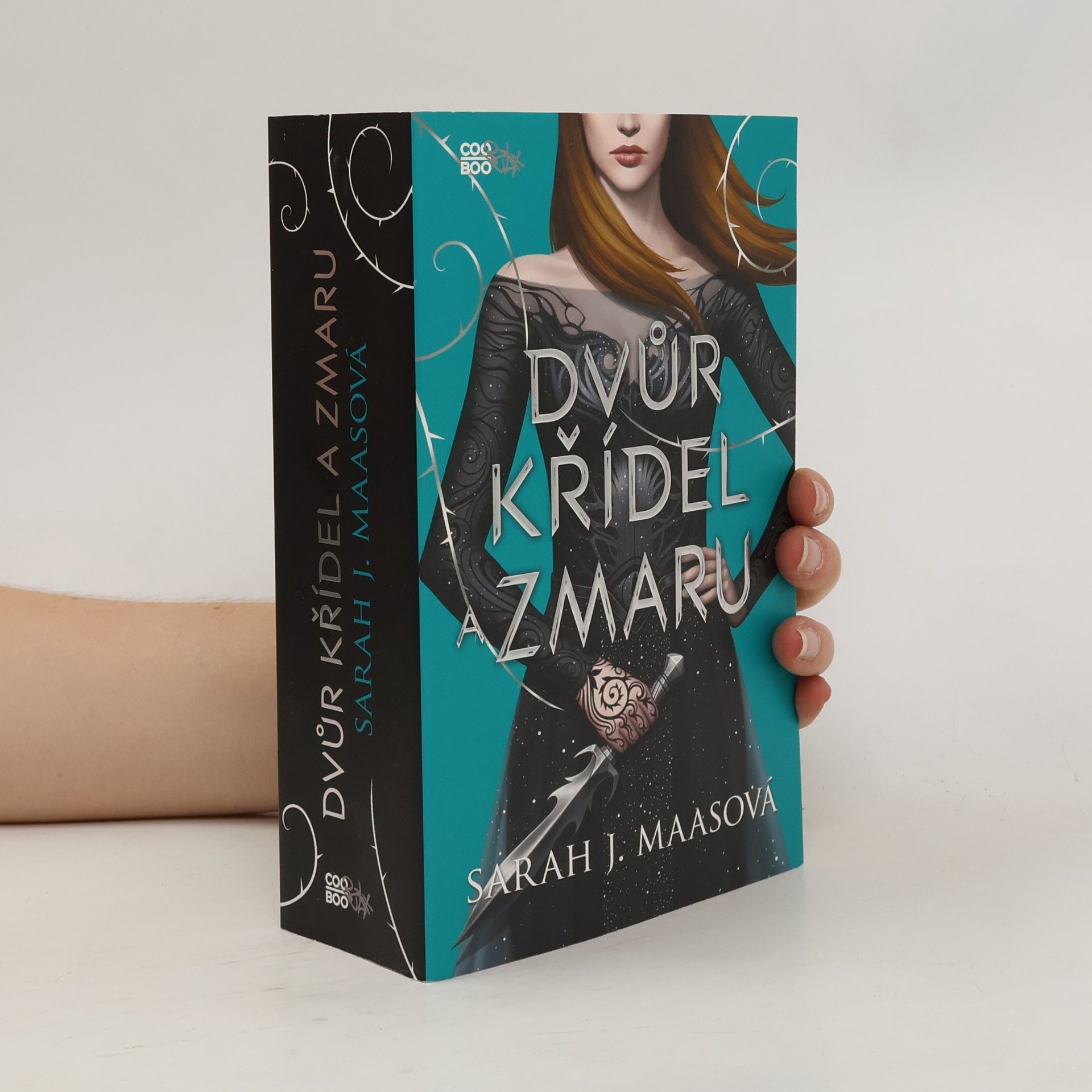 Sarah J. Maas Dvůr křídel a zmaru