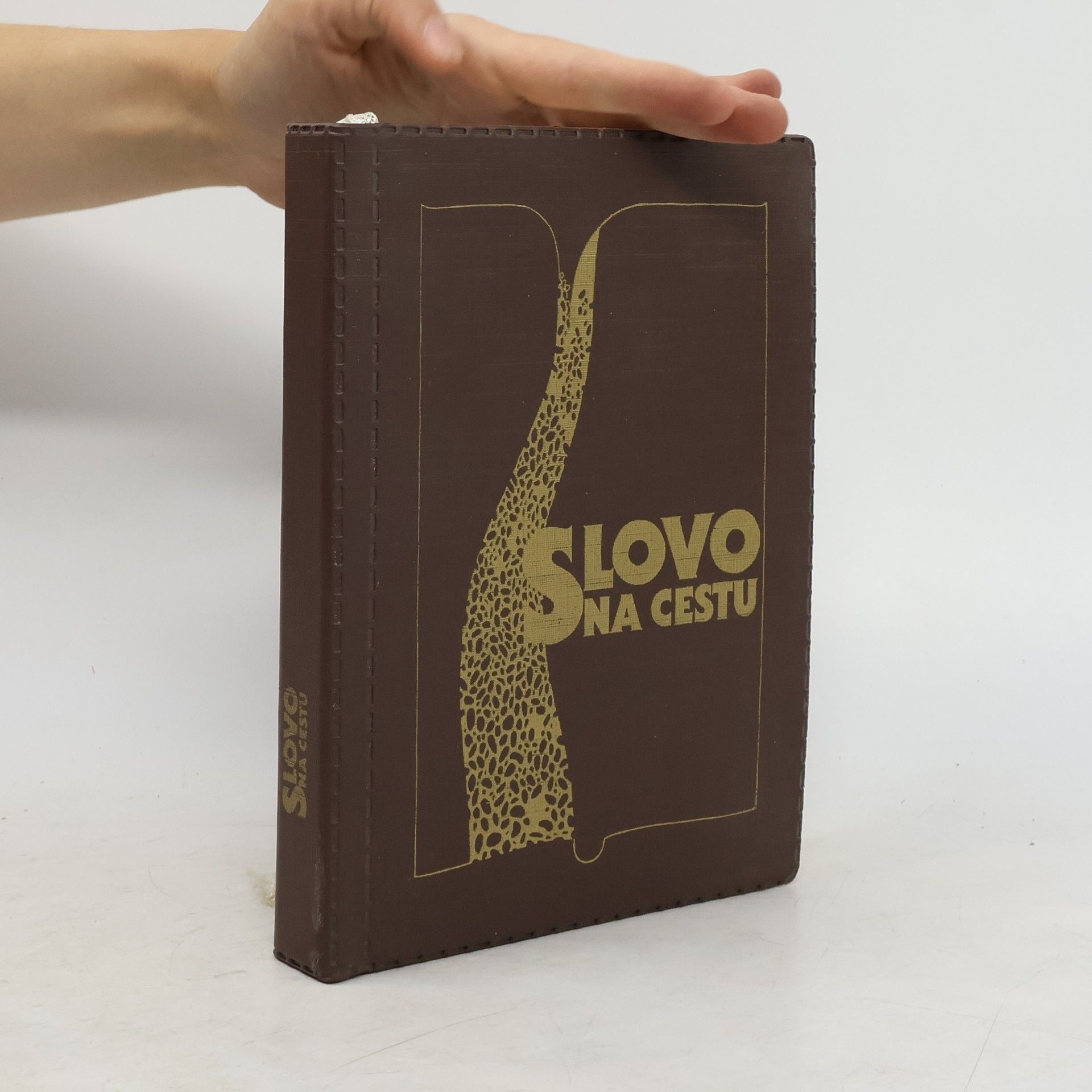 Autorenkollektiv Slovo na cestu. Parafrázovaný text Nového zákona.