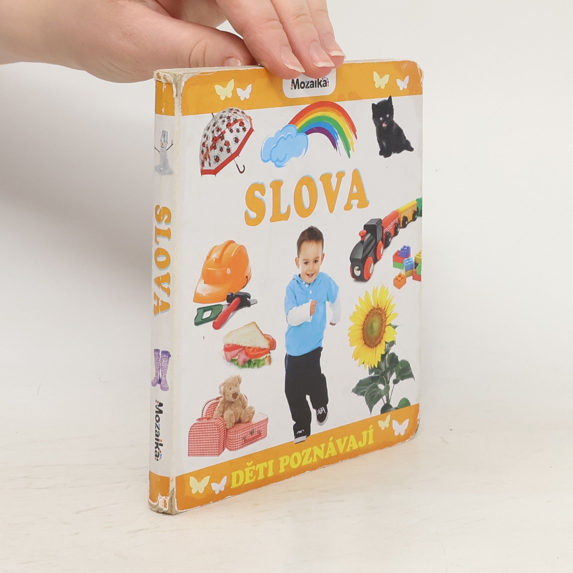 Kolektív autorov Děti poznávají slova