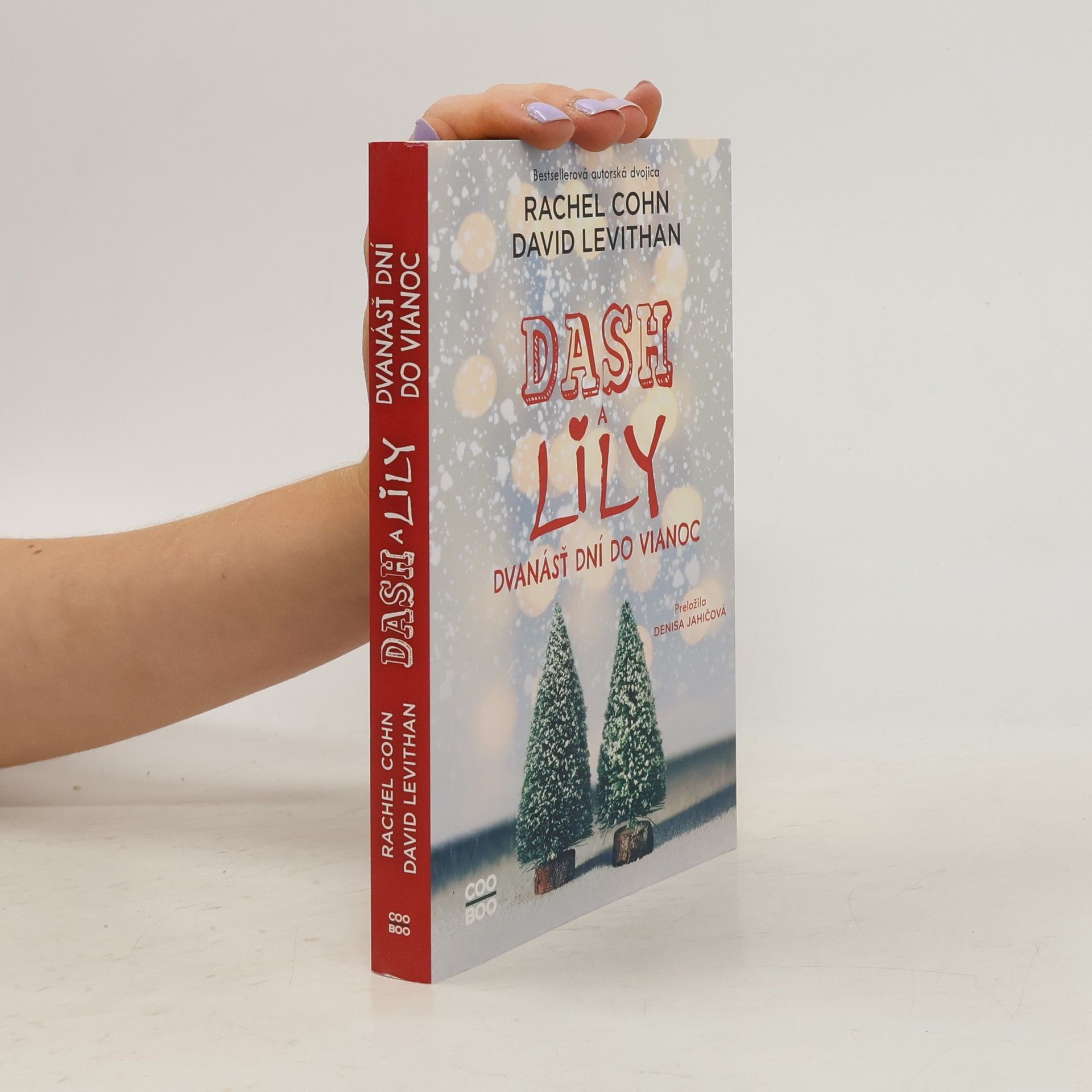 Rachel Cohn Dash a Lily: Dvanácť dní do Vianoc