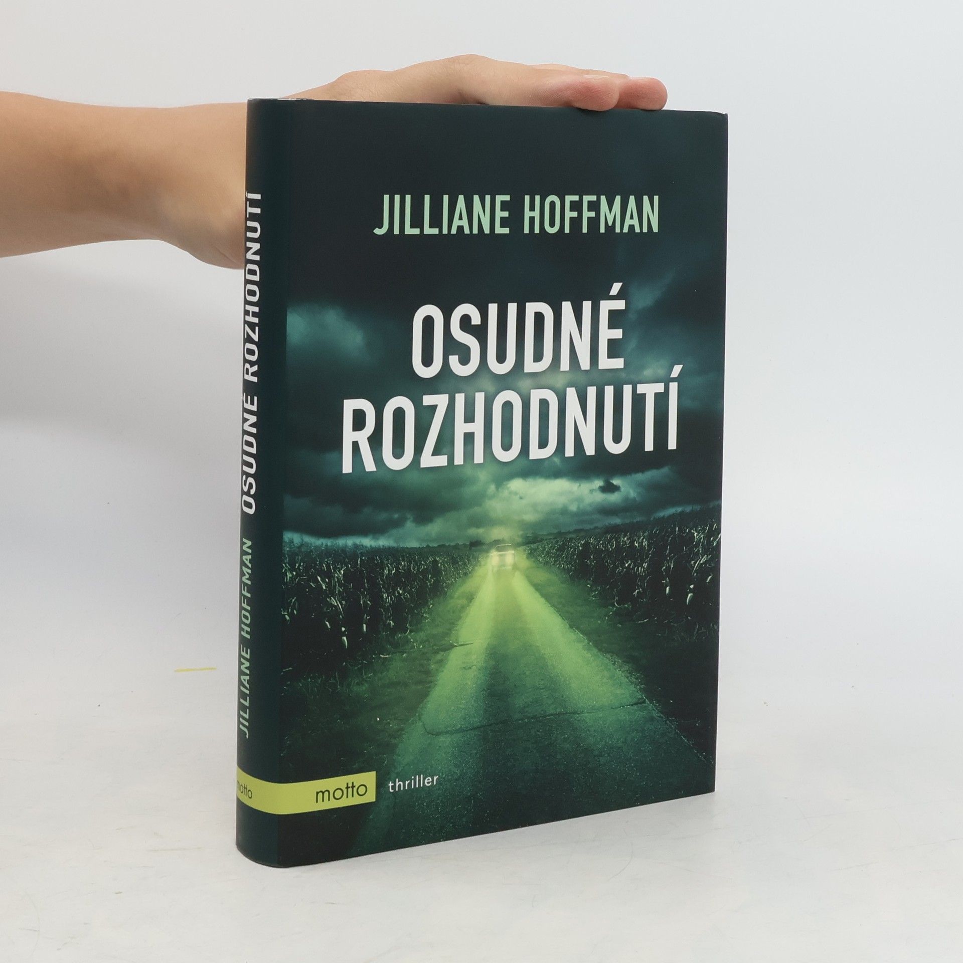 Jilliane Hoffman Osudné rozhodnutí