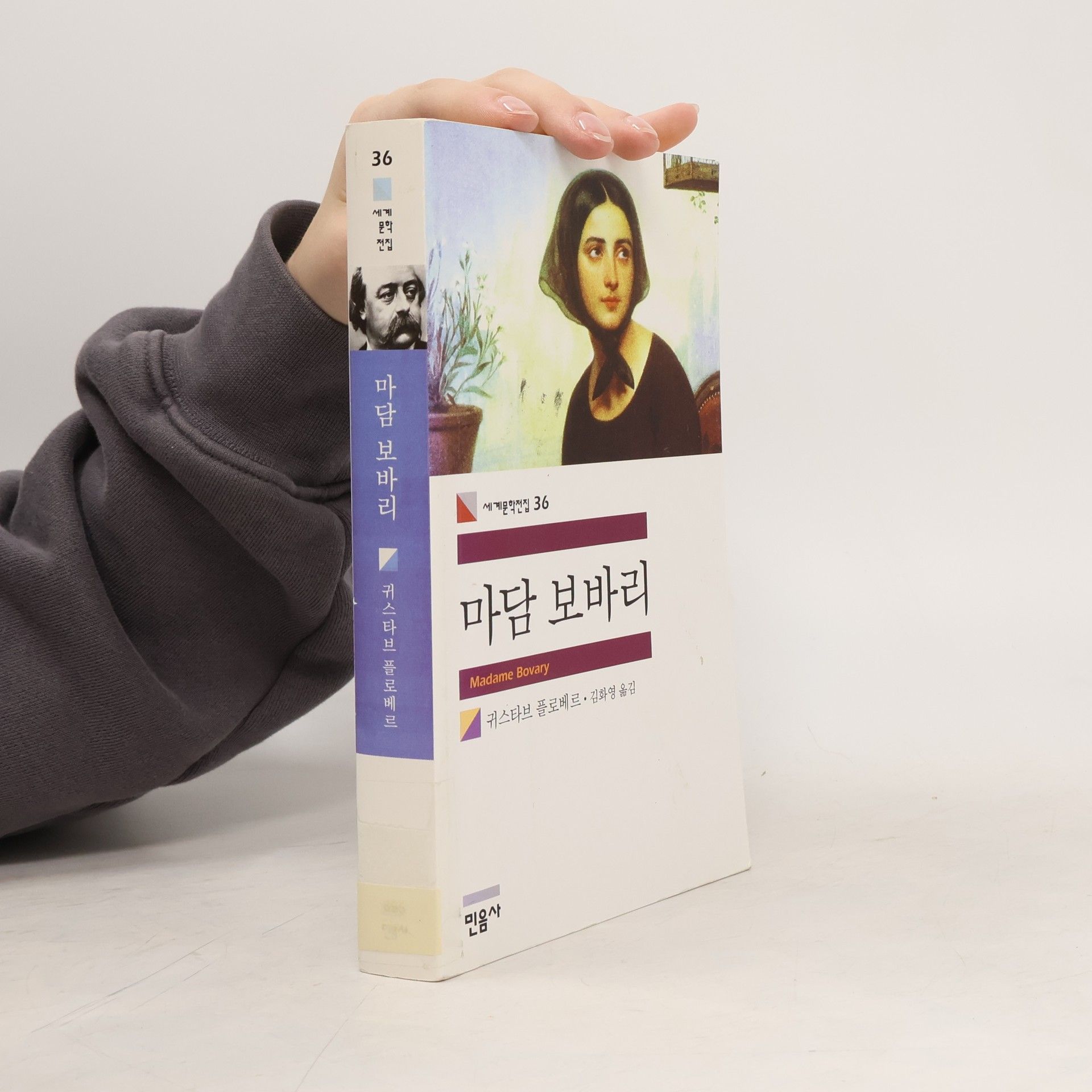 Gustave Flaubert 마담 보바리