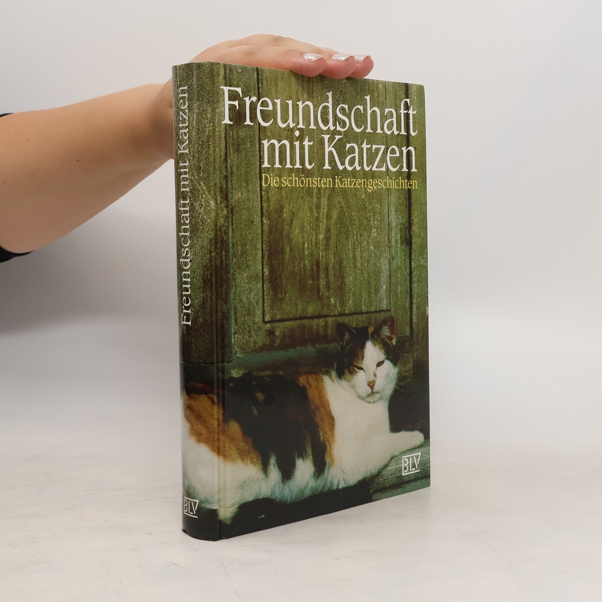 Siegfried Schmitz Freundschaft mit Katzen
