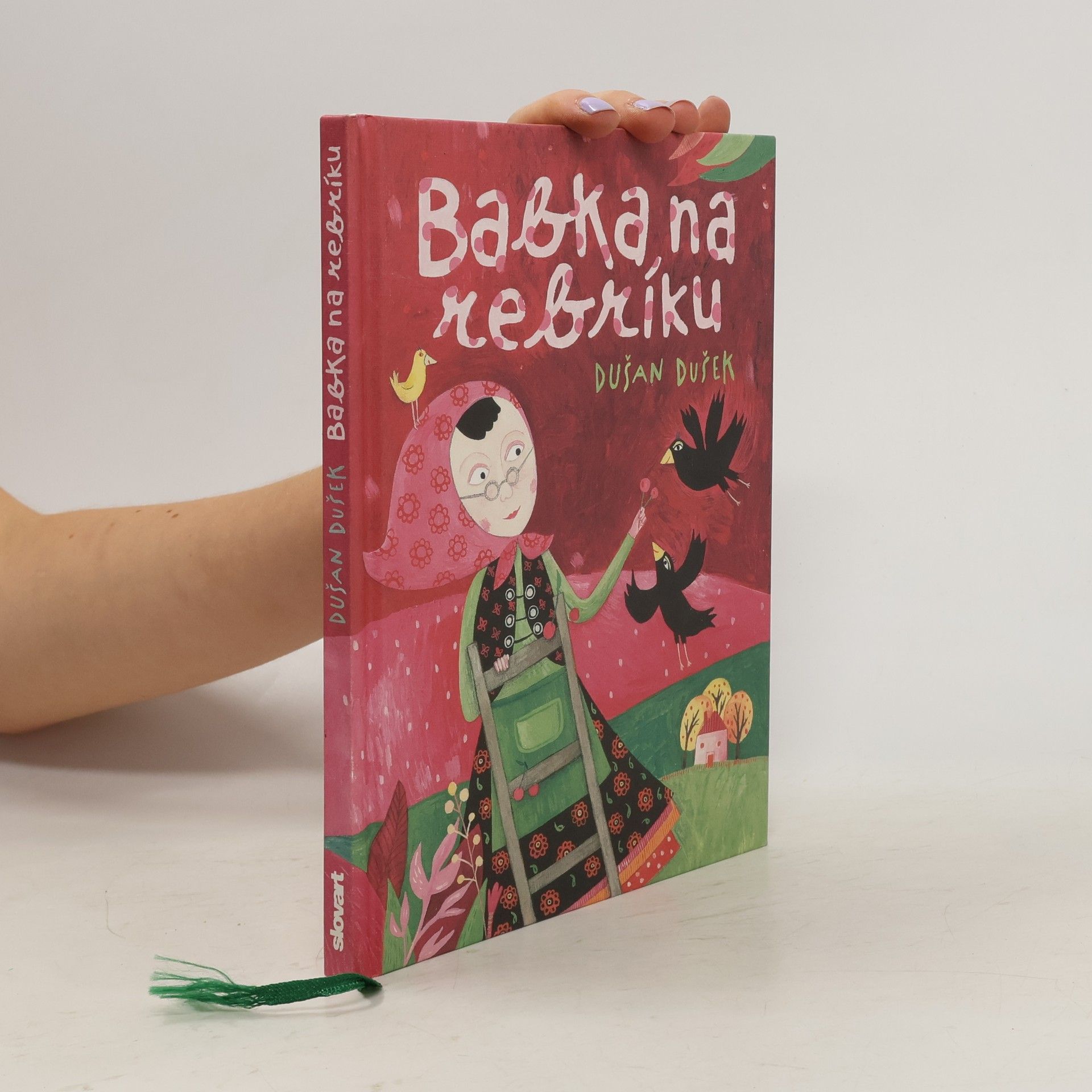 Dušan Dušek Babka na rebríku