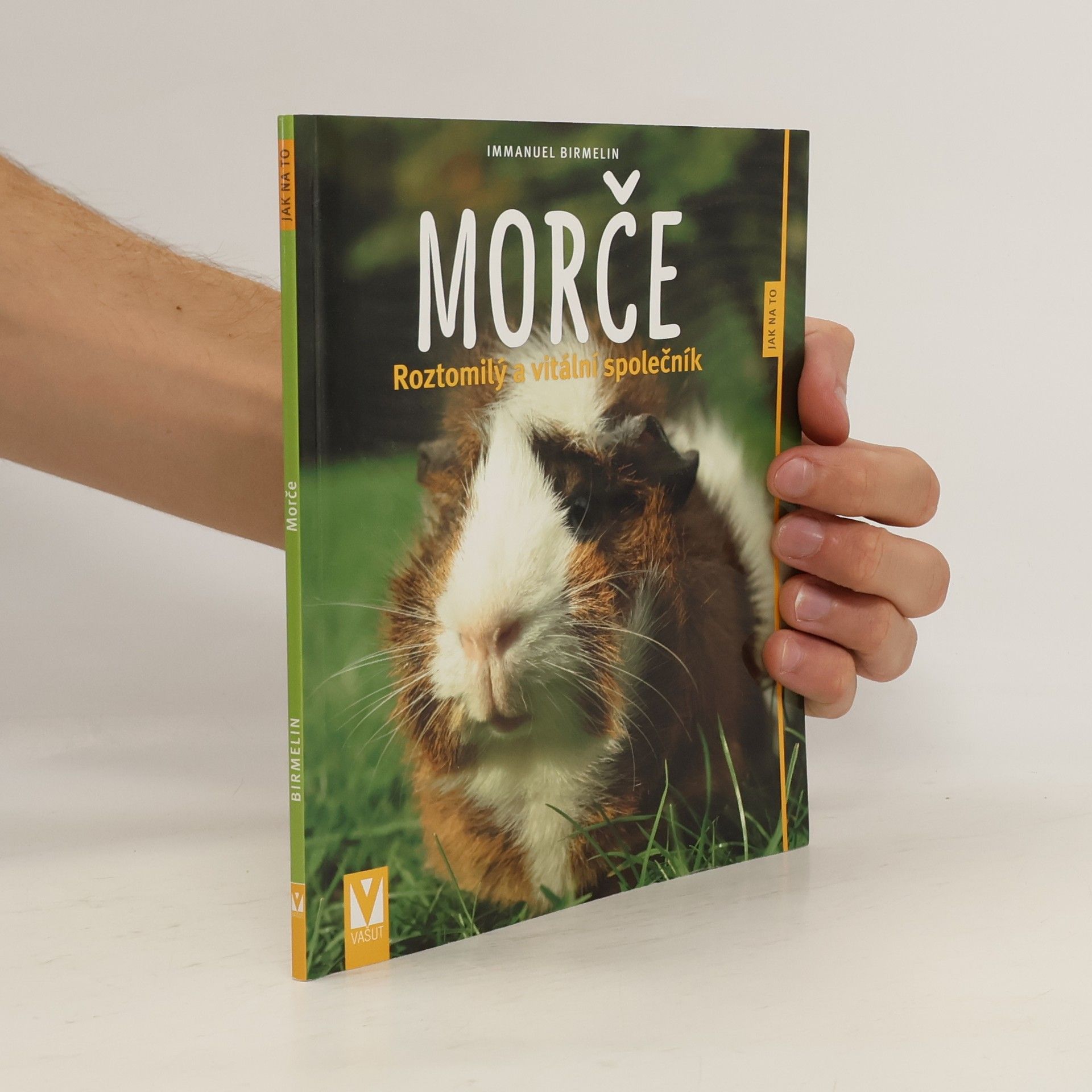 Immanuel Birmelin Morče. Roztomilý a vitální společník