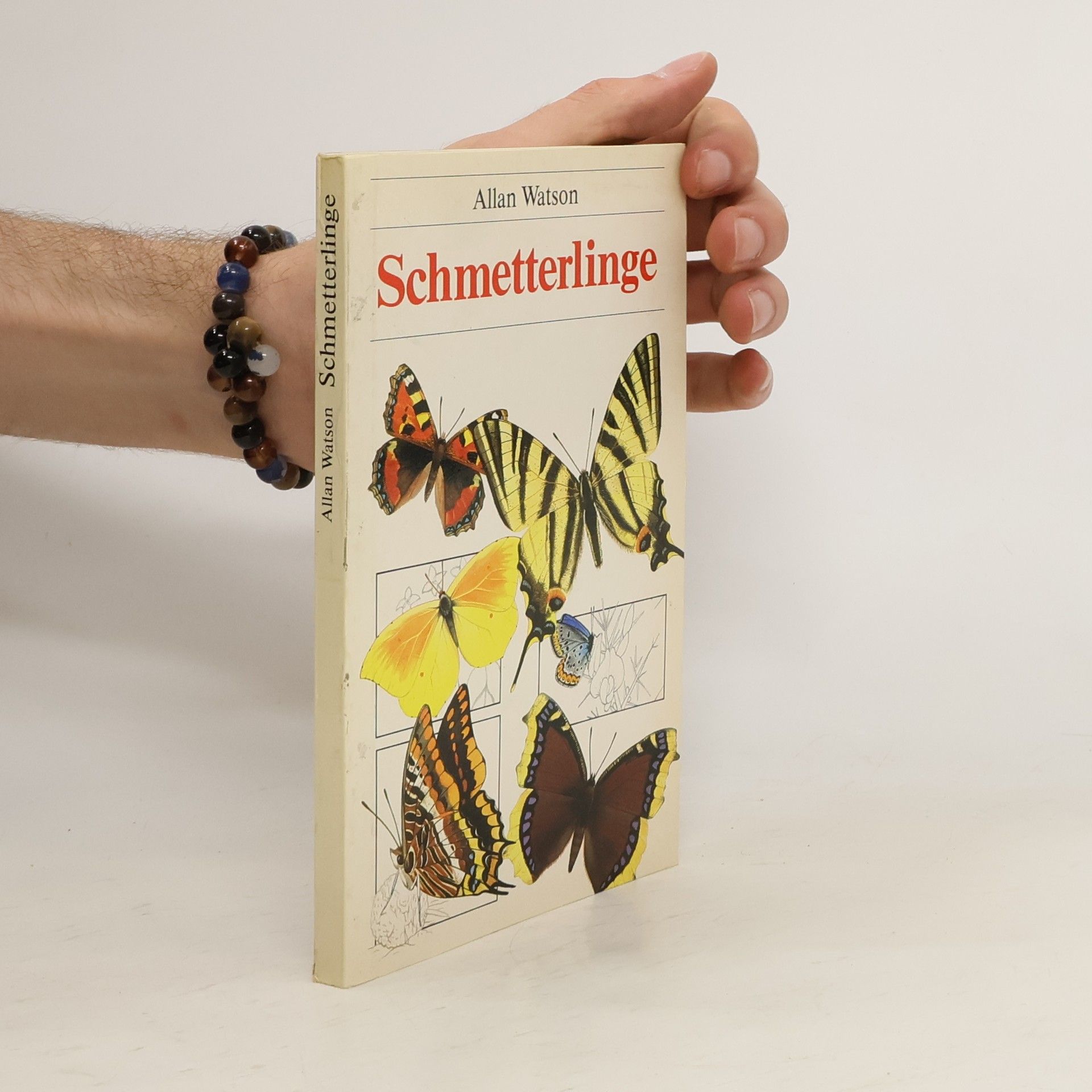 Allan Watson Schmetterlinge
