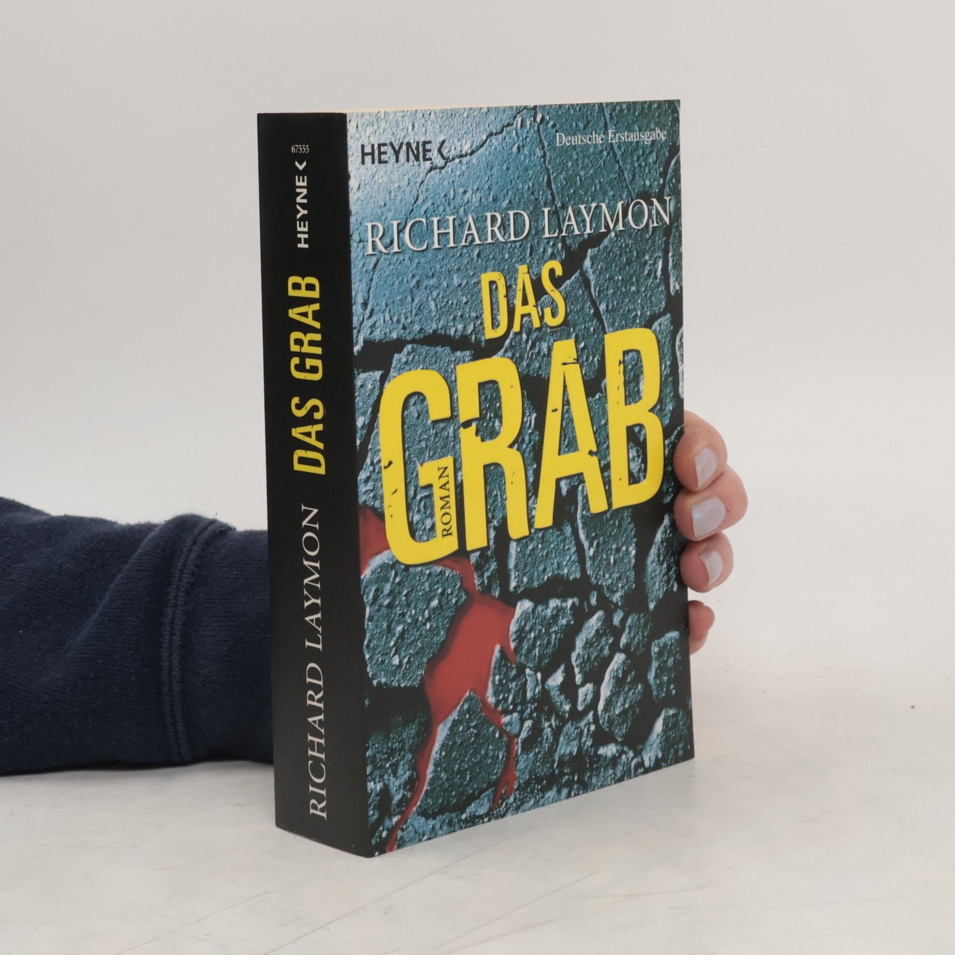 Richard Laymon Das Grab
