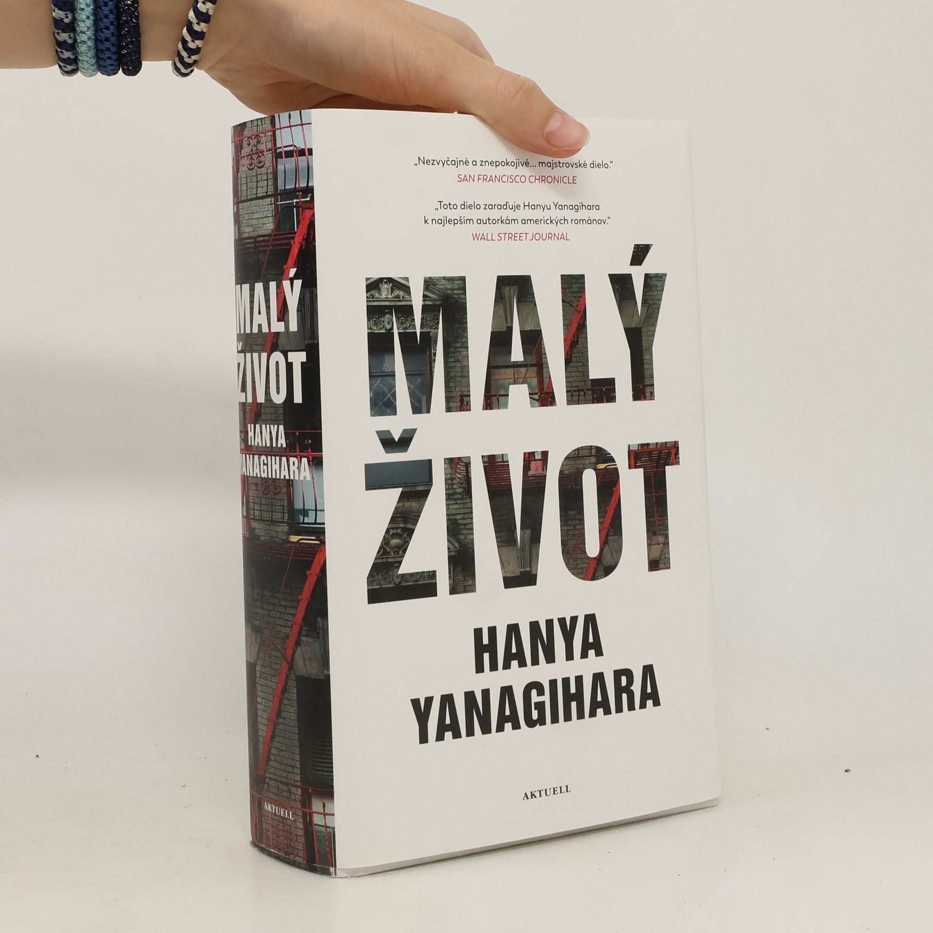 Hanya Yanagihara Malý život