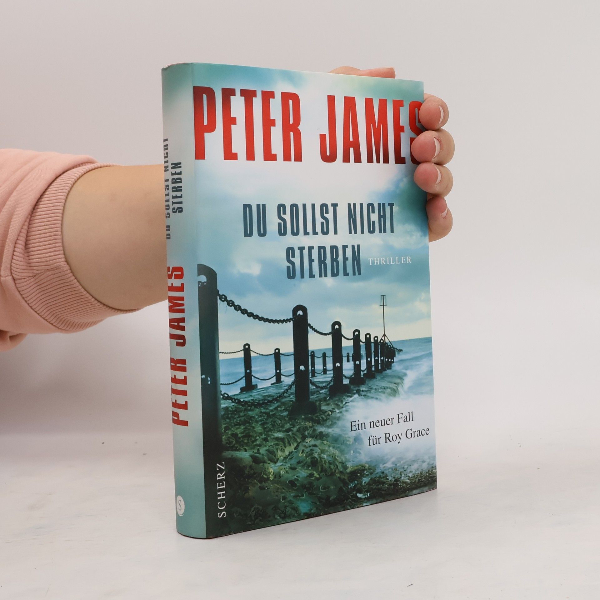 Peter James Du sollst nicht sterben