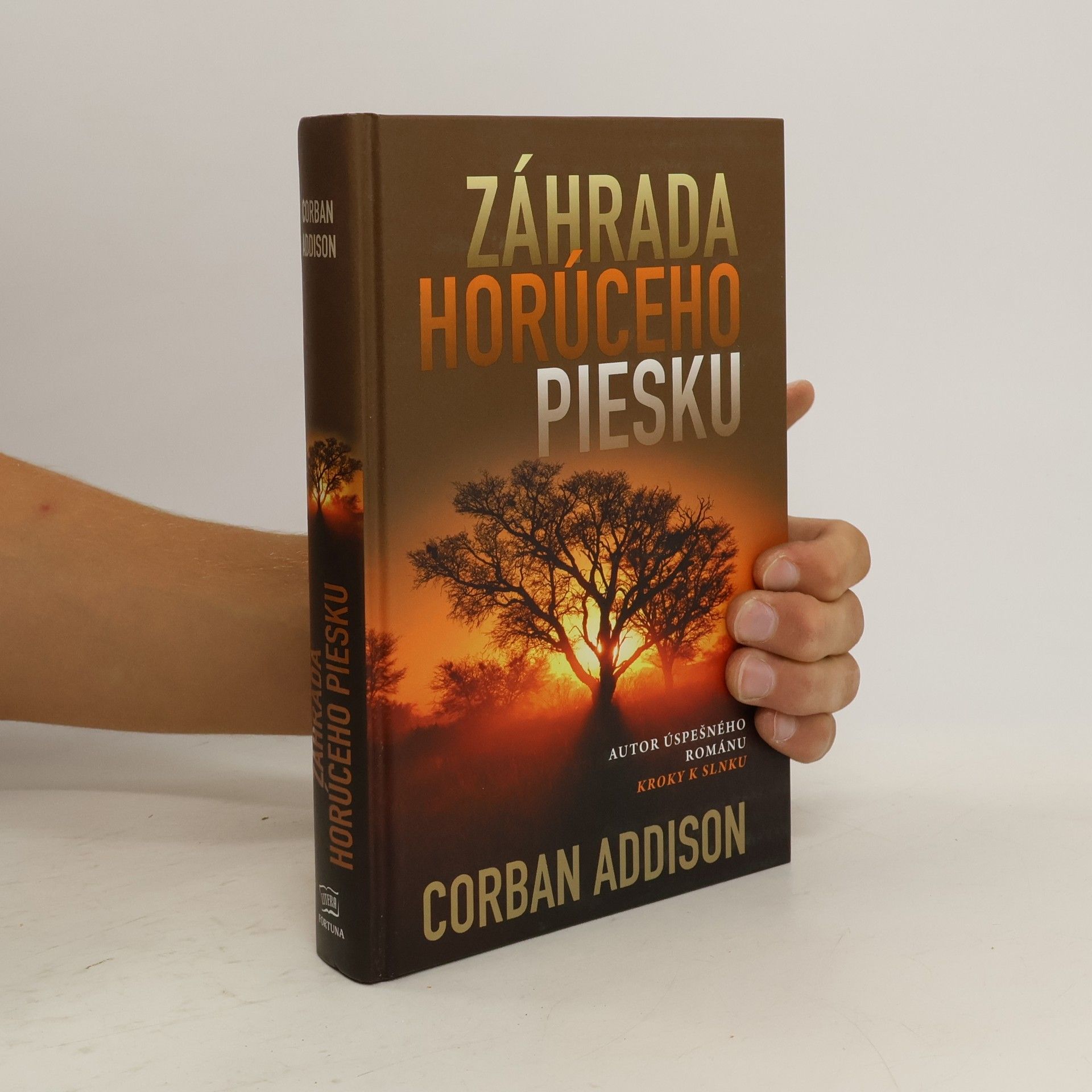 Corban Addison Záhrada horúceho piesku
