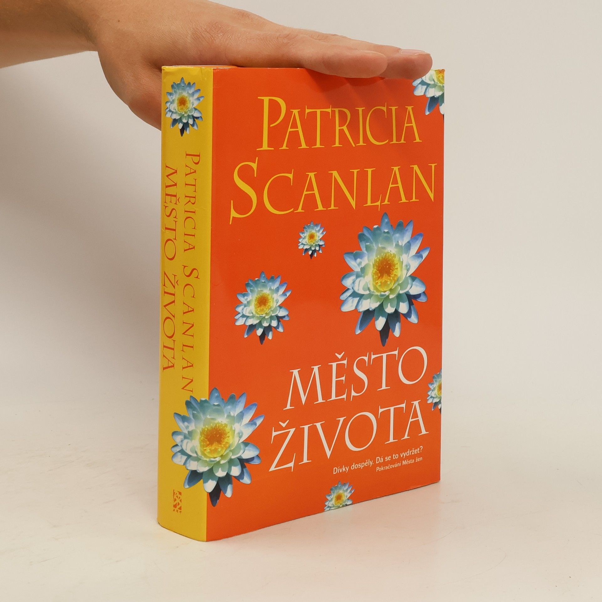 Patricia Scanlan Město života