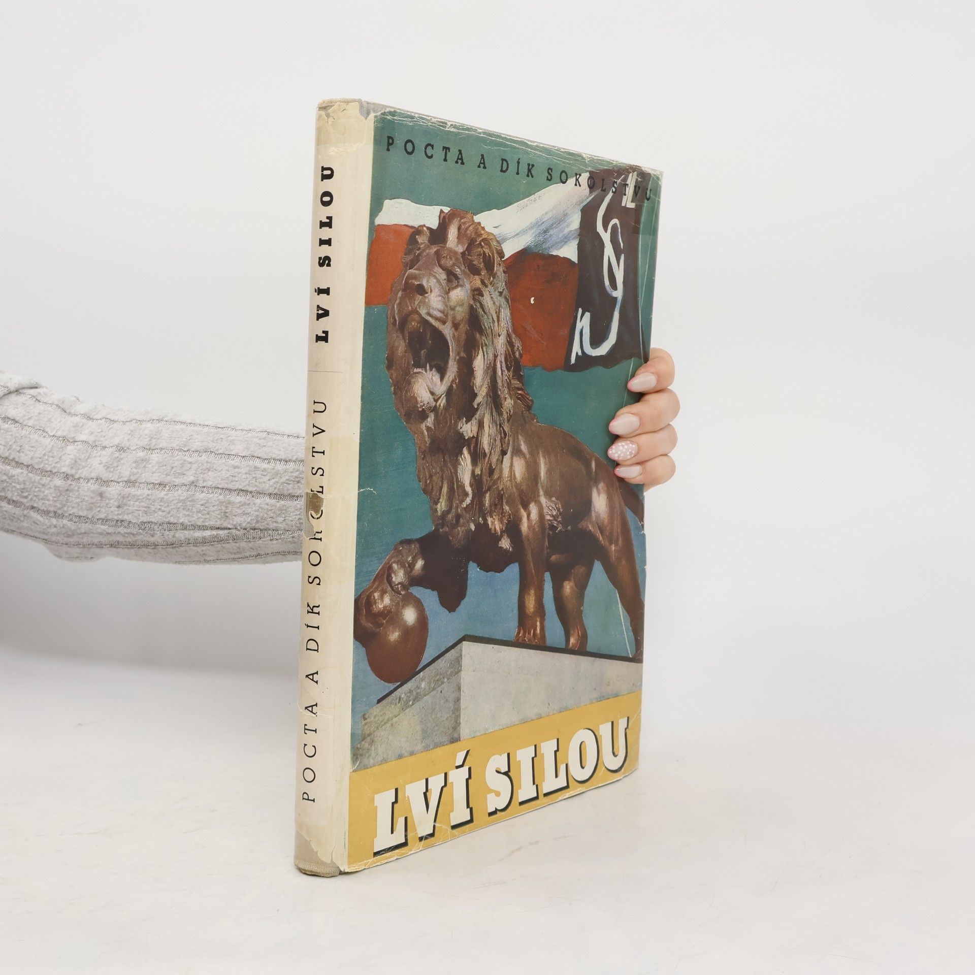 kolektiv Lví silou. Pocta a dík Sokolstvu