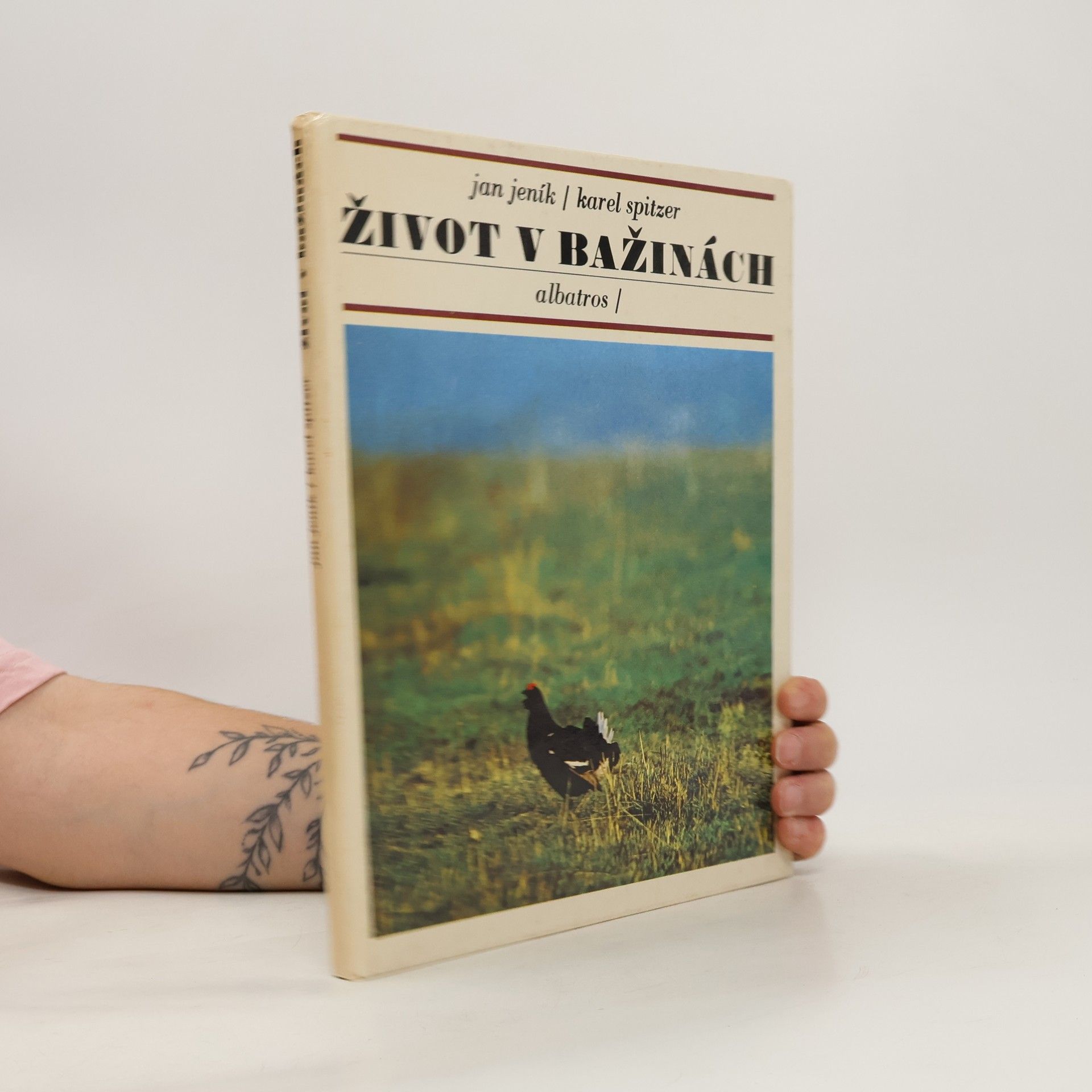Jan Jeník Život v bažinách