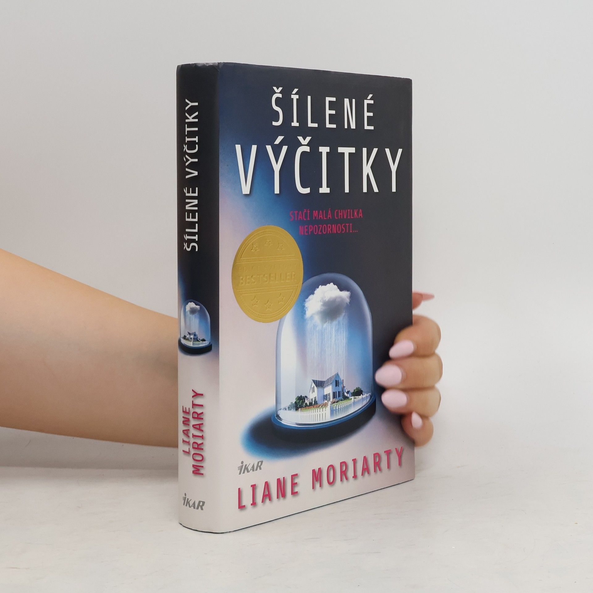 Liane Moriarty Šílené výčitky