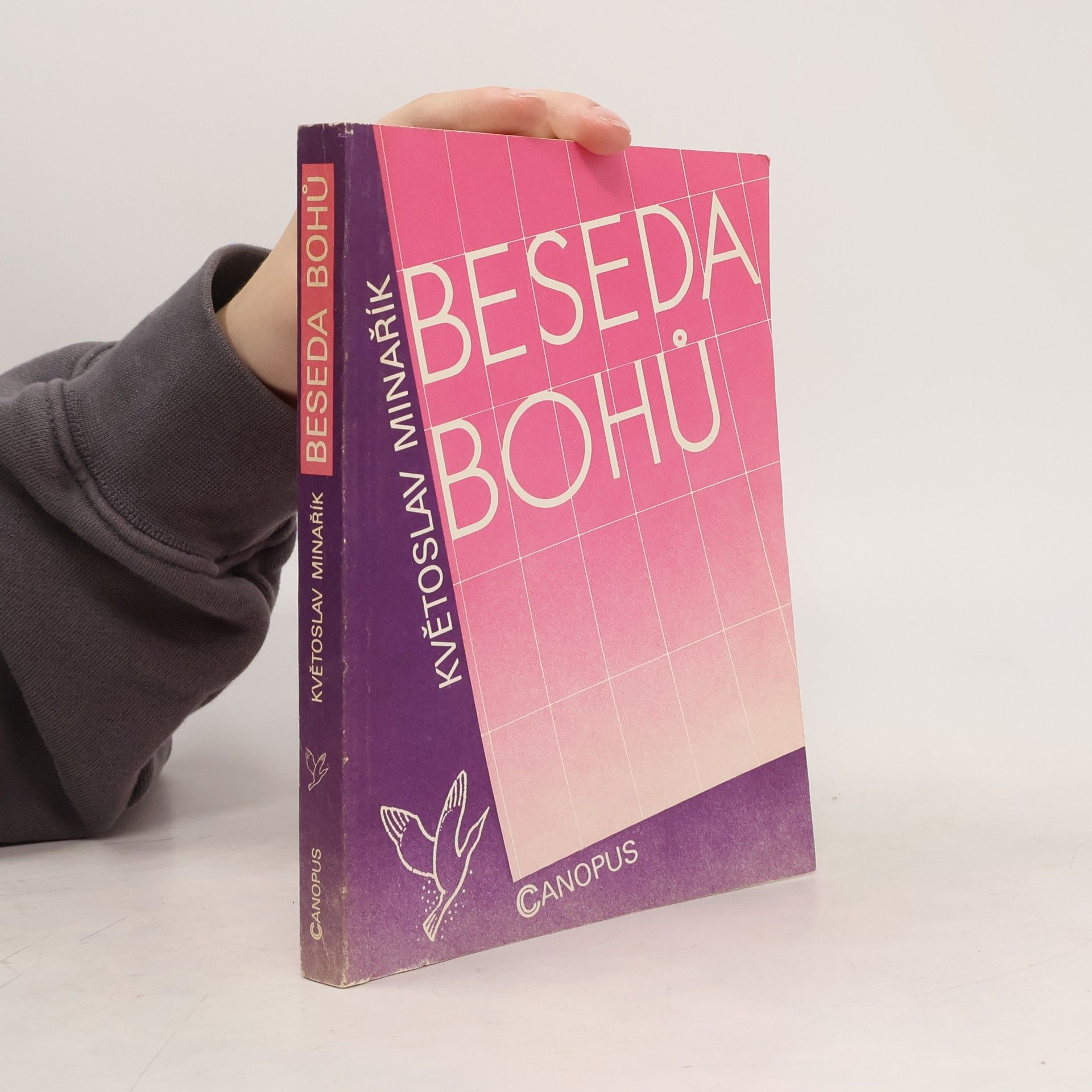 Květoslav Minařík Beseda bohů