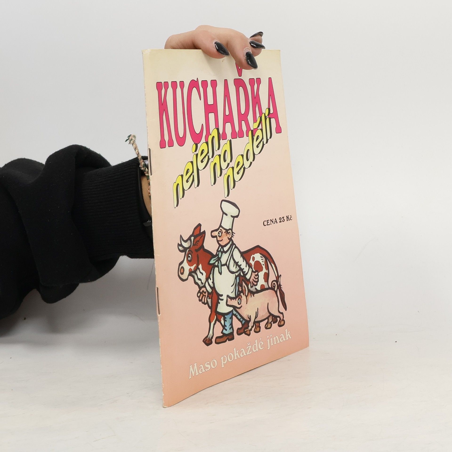 Jaroslav Vašák Kuchařka nejen na neděli. Maso pokaždé jinak
