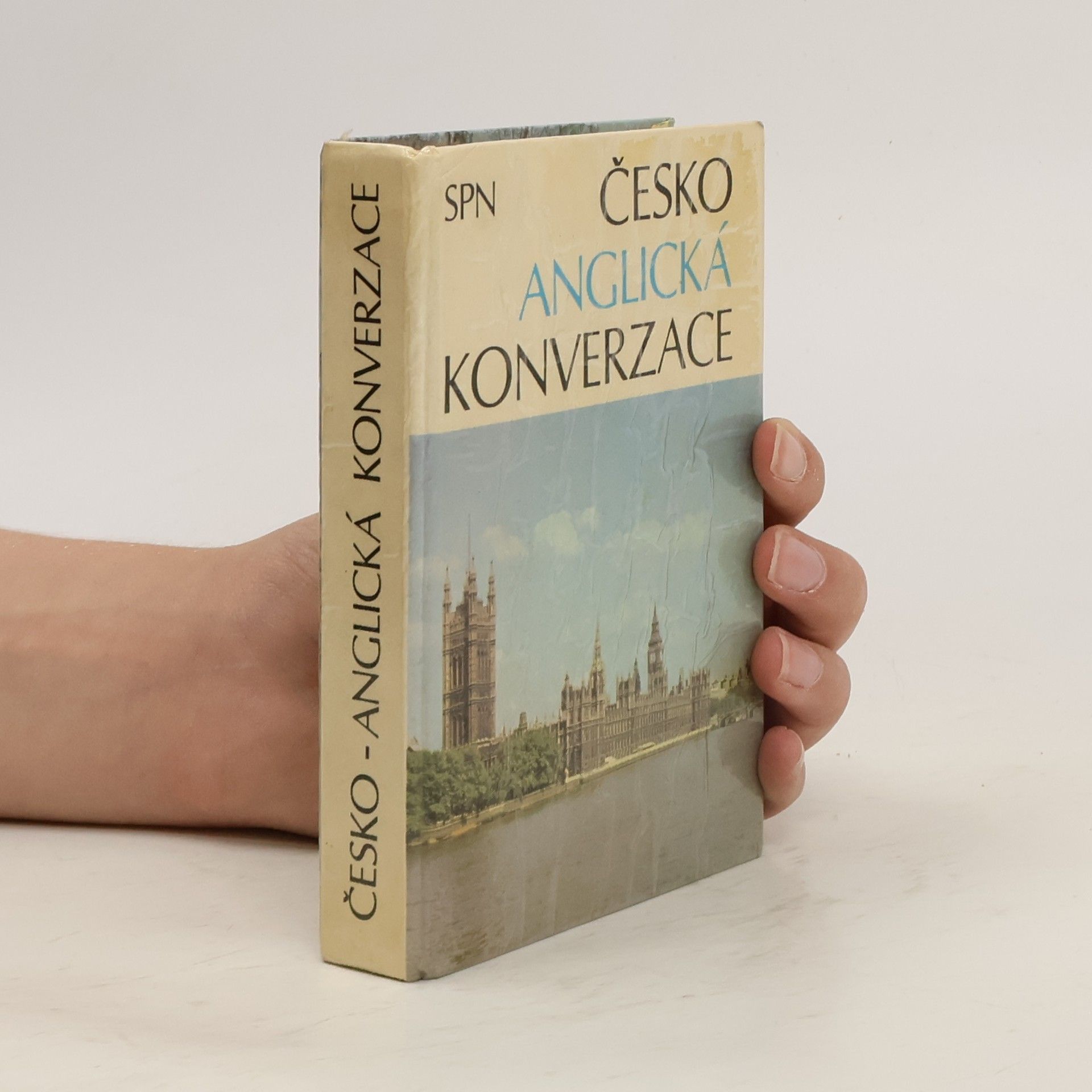 Autorenkollektiv Česko-anglická konverzace