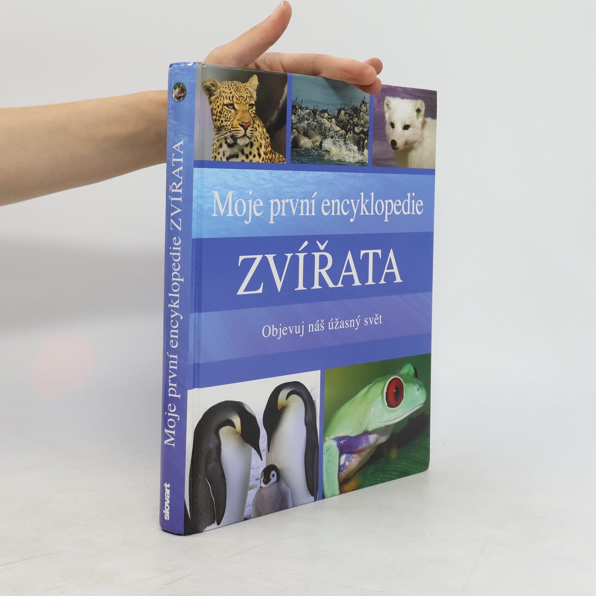 Sally Morgan Moje první encyklopedie - Zvířata: Objevuj náš úžasný svět