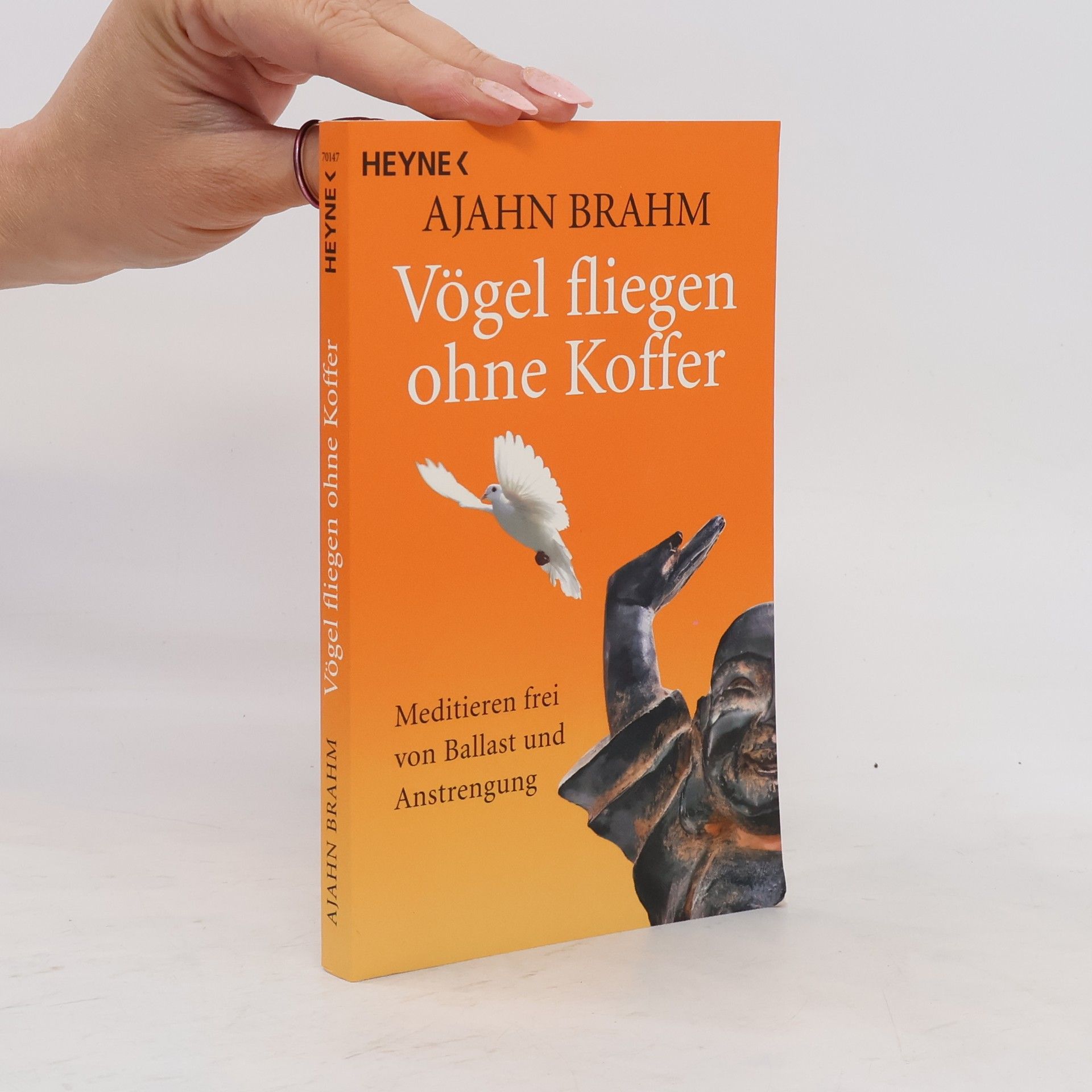 Brahmavamsó Vögel fliegen ohne Koffer. Meditieren frei von Ballast und Anstrengung