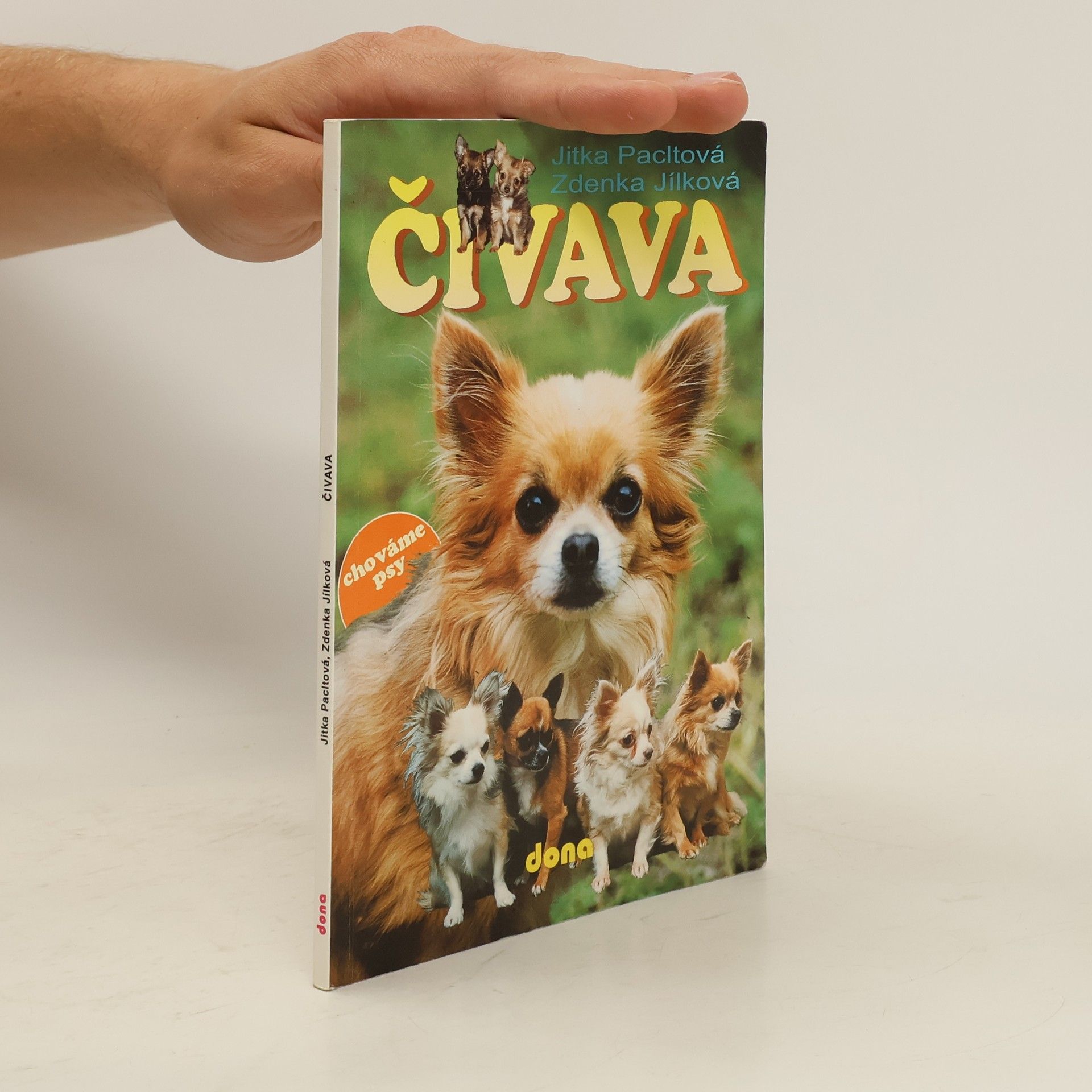 Jitka Pacltová Čivava