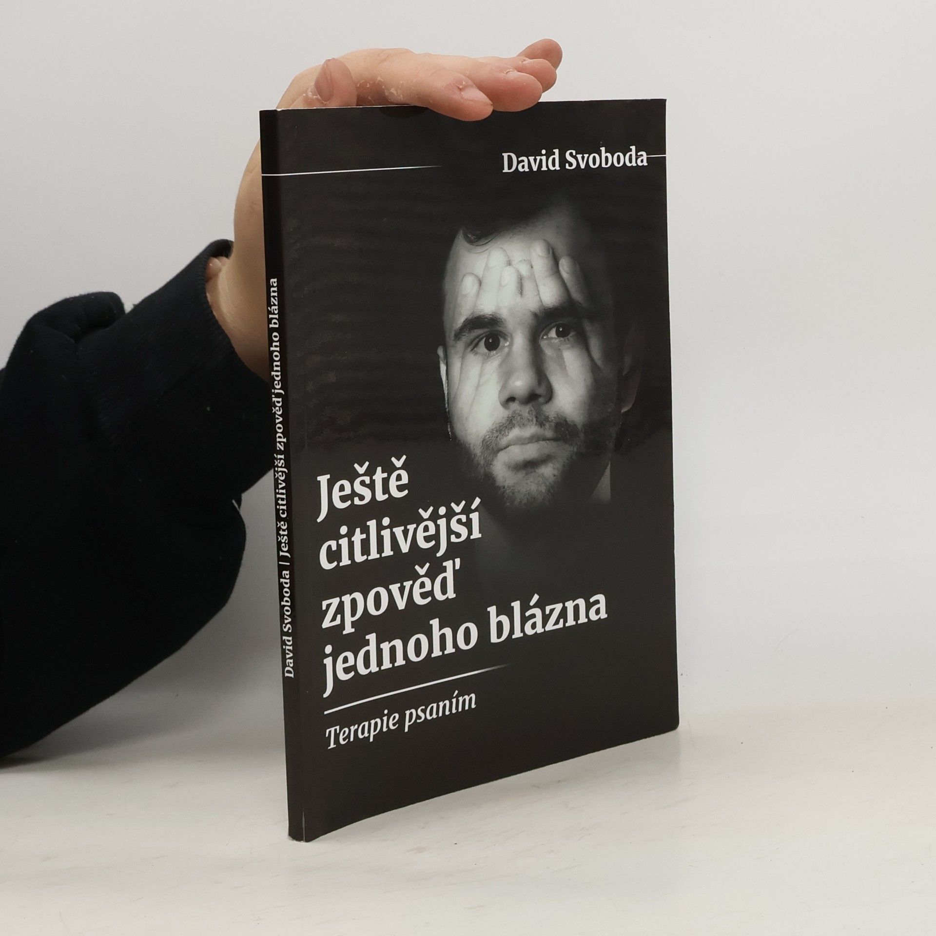 David Svoboda Ještě citlivější zpověď jednoho blázna. Terapie psaním